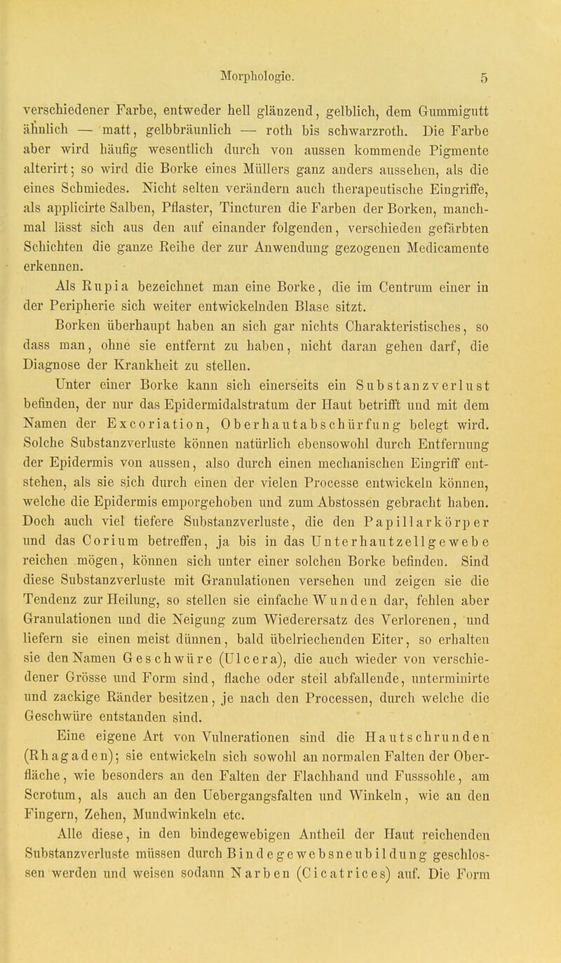 verschiedener Farbe, entweder hell glänzend, gelblich, dem Gummigutt äh'nlich — matt, gelbbräunlich — roth bis sehwarzroth. Die Farbe aber wird häufig wesentlich durch von aussen kommende Pigmente alterirt; so wird die Borke eines Müllers ganz anders aussehen, als die eines Schmiedes. Nicht selten verändern auch therapeutische Eingriffe, als applicirte Salben, Pflaster, Tincturen die Farben der Borken, manch- mal lässt sich aus den auf einander folgenden, verschieden gefärbten Schichten die ganze Reihe der zur Anwendung gezogenen Medicamente erkennen. Als Rupia bezeichnet man eine Borke, die im Centrum einer in der Peripherie sich weiter entwickelnden Blase sitzt. Borken überhaupt haben an sich gar nichts Charakteristisches, so dass man, ohne sie entfernt zu haben, nicht daran gehen darf, die Diagnose der Krankheit zu stellen. Unter einer Borke kann sich einerseits ein Substanzverlust befinden, der nur das Epidermidalstratum der Haut betrifft und mit dem Namen der Excoriation, Oberhautabschürfung belegt wird. Solche Substanzverluste können natürlich ebensowohl durch Entfernung der Epidermis von aussen, also durch einen mechanischen Eingriff ent- stehen, als sie sich durch einen der vielen Processe entwickeln können, welche die Epidermis emporgehoben und zum Abstossen gebracht haben. Doch auch viel tiefere Substanzverluste, die den Papillarkörper und das Corium betreffen, ja bis in das Unterhautzellgewebe reichen mögen, können sich unter einer solchen Borke befinden. Sind diese Substanzverluste mit Graniüationen versehen und zeigen sie die Tendenz zur Heilung, so stellen sie einfache W u n d e n dar, fehlen aber Granulationen und die Neigung zum Wiederersatz des Verlorenen, und liefern sie einen meist dünnen, bald übelriechenden Eiter, so erhalten sie den Namen Geschwüre (Ulcera), die auch wieder von verschie- dener Grösse und Form sind, flache oder steil abfallende, unterminirte und zackige Ränder besitzen, je nach den Processen, durch welche die Geschwüre entstanden sind. Eine eigene Art von Vulnerationen sind die Hautschrunden' (Rhagaden); sie entwickeln sich sowohl an normalen Falten der Ober- fläche , wie besonders an den Falten der Flachhand und Fusssohle, am Scrotum, als auch an den Uebergangsfalten und Winkeln, wie an den Fingern, Zehen, Mundwinkeln etc. Alle diese, in den bindegewebigen Antheil der Haut reichenden Substanzverluste müssen durch Bindegewebsneubildung geschlos- sen werden und weisen sodann Narben (Cicatrices) auf. Die Form