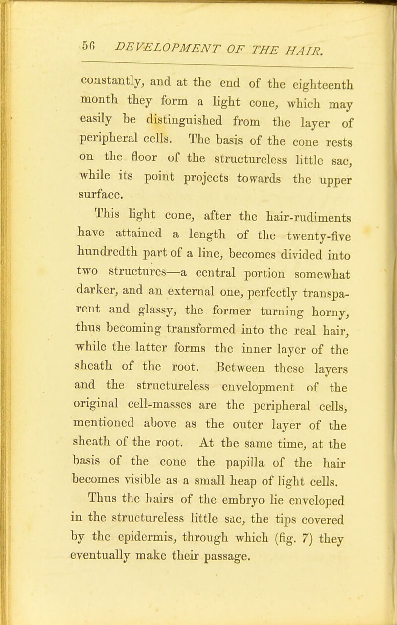 constantly, and at tlie end of the eighteenth month they form a light cone, which may easily be distinguished from the layer of peripheral cells. The basis of the cone rests on the floor of the structureless little sac, while its point projects towards the upper surface. This hght cone, after the hair-rudiments have attained a length of the twenty-five hundredth part of a line, becomes divided into two structures—a central portion somewhat darker, and an external one, perfectly transpa- rent and glassy, the former turning horny, thus becoming transformed into the real hair, while the latter forms the inner layer of the sheath of the root. Between these layers and the structureless envelopment of the original cell-masses are the peripheral cells, mentioned above as the outer layer of the sheath of the root. At the same time, at the basis of the cone the papilla of the hair becomes visible as a small heap of light cells. Thus the hairs of the embryo lie enveloped in the structureless little sac, the tips covered by the epidermis, through which (fig. 7} they eventually make their passage.