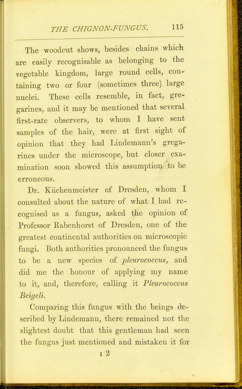 The woodcut shows, besides chains which are easily recognisable as belonging to the vegetable kingdom, large round cells, con- taining two or four (sometimes three) large nuclei. These cells resemble, in fact, gre- garines, and it may be mentioned that several first-rate observers, to whom I have sent samples of the hair, were at first sight of opinion that they had Lindemann's grega- rines under the microscope, but closer exa- mination soon showed this assumption , to be erroneous. Dr. Kiicbenmeister of Dresden, whom I consulted about the nature of what I had re- cognised as a fungus, asked the opinion of Professor Rabenhorst of Dresden, one of the greatest continental authorities on microscopic fangi. Both authorities pronounced the fungus to be a new species of pleurococcus, and did me the honour of applying my name to it, and, therefore, calling it Pleurococcus Beigeli. Comparing this fungus with the beings de- scribed by Lindemann, there remained not the slightest doubt that this gentleman had seen the fungus just mentioned and mistaken it for I 2