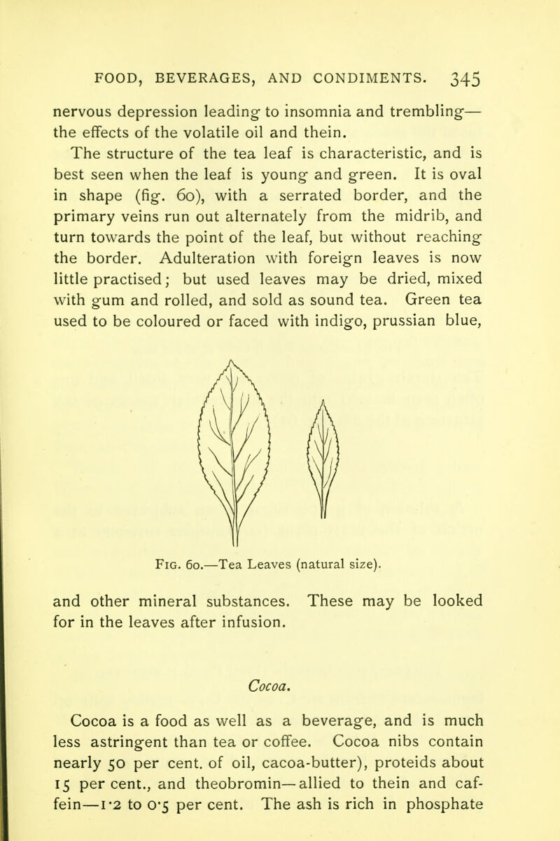 nervous depression leading to insomnia and trembling— the effects of the volatile oil and thein. The structure of the tea leaf is characteristic, and is best seen when the leaf is young and green. It is oval in shape (fig. 60), with a serrated border, and the primary veins run out alternately from the midrib, and turn towards the point of the leaf, but without reaching the border. Adulteration with foreign leaves is now little practised; but used leaves may be dried, mixed with gum and rolled, and sold as sound tea. Green tea used to be coloured or faced with indigo, prussian blue, and other mineral substances. These may be looked for in the leaves after infusion. Cocoa is a food as well as a beverage, and is much less astringent than tea or coffee. Cocoa nibs contain nearly 50 per cent, of oil, cacoa-butter), proteids about 15 percent., and theobromin—allied to thein and caf- fein—1*2 to 0*5 per cent. The ash is rich in phosphate Fig. 60.—Tea Leaves (natural size). Cocoa.