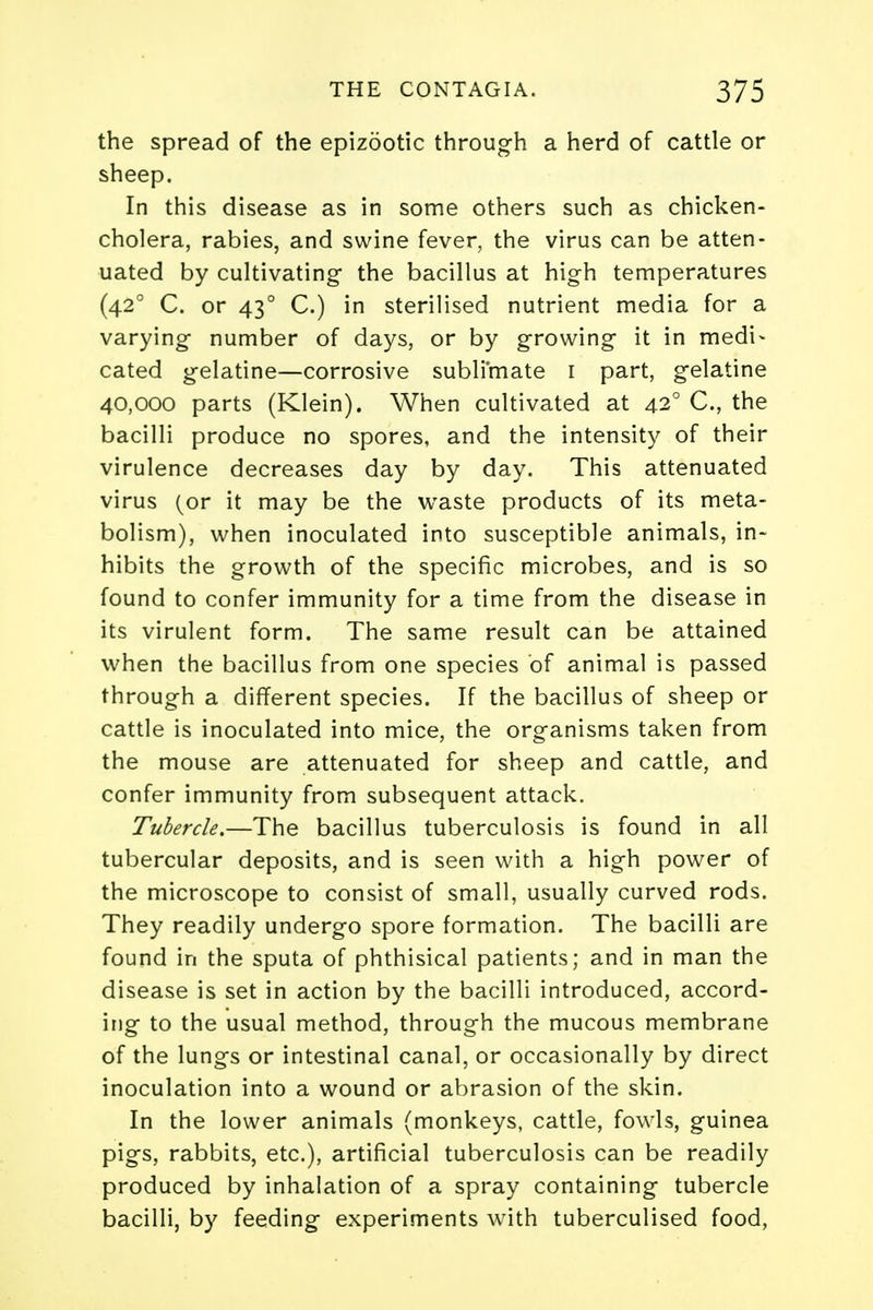 the spread of the epizootic through a herd of cattle or sheep. In this disease as in some others such as chicken- cholera, rabies, and swine fever, the virus can be atten- uated by cultivating- the bacillus at high temperatures (420 C. or 430 C.) in sterilised nutrient media for a varying number of days, or by growing it in medi- cated gelatine—corrosive sublimate 1 part, gelatine 40,000 parts (Klein). When cultivated at 420 C, the bacilli produce no spores, and the intensity of their virulence decreases day by day. This attenuated virus (or it may be the waste products of its meta- bolism), when inoculated into susceptible animals, in- hibits the growth of the specific microbes, and is so found to confer immunity for a time from the disease in its virulent form. The same result can be attained when the bacillus from one species of animal is passed through a different species. If the bacillus of sheep or cattle is inoculated into mice, the organisms taken from the mouse are attenuated for sheep and cattle, and confer immunity from subsequent attack. Tubercle.—The bacillus tuberculosis is found in all tubercular deposits, and is seen with a high power of the microscope to consist of small, usually curved rods. They readily undergo spore formation. The bacilli are found in the sputa of phthisical patients; and in man the disease is set in action by the bacilli introduced, accord- ing to the usual method, through the mucous membrane of the lungs or intestinal canal, or occasionally by direct inoculation into a wound or abrasion of the skin. In the lower animals (monkeys, cattle, fowls, guinea pigs, rabbits, etc.), artificial tuberculosis can be readily produced by inhalation of a spray containing tubercle bacilli, by feeding experiments with tuberculised food,