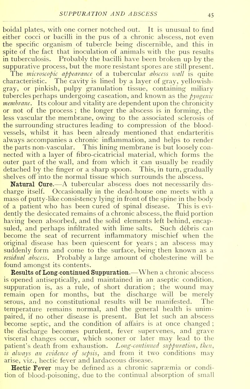 boidal plates, with one corner notched out. It is unusual to find either cocci or bacilli in the pus of a chronic abscess, not even the specific organism of tubercle being discernible, and this in spite of the fact that inoculation of animals with the pus results in tuberculosis. Probably the bacilli have been broken up by the suppurative process, but the more resistant spores are still present. The microscopic appearance of a tubercular abscess wall is quite characteristic. The cavity is lined by a layer of gray, yellowish- gray, or pinkish, pulpy granulation tissue, containing miliary tubercles perhaps undergoing caseation, and known as the pyogenic membrane. Its colour and vitality are dependent upon the chronicity or not of the process ; the longer the abscess is in forming, the less vascular the membrane, owing to the associated sclerosis of the surrounding structures leading to compression of the blood- vessels, whilst it has been already mentioned that endarteritis always accompanies a chronic inflammation, and helps to render the parts non-vascular. This lining membrane is but loosely con- nected with a layer of fibro-cicatricial material, which forms the outer part of the wall, and from which it can usually be readily detached by the finger or a sharp spoon. This, in turn, gradually shelves off into the normal tissue which surrounds the abscess. Natural Cure.—A tubercular abscess does not necessarily dis- charge itself. Occasionally in the dead-house one meets with a mass of putty-like consistency lying in front of the spine in the body of a patient who has been cured of spinal disease. This is evi- dently the desiccated remains of a chronic abscess, the fluid portion having been absorbed, and the solid elements left behind, encap- suled, and perhaps infiltrated with lime salts. Such debris can become the seat of recurrent inflammatory mischief when the original disease has been quiescent for years ; an abscess may suddenly form and come to the surface, being then known as a residual abscess. Probably a large amount of cholesterine will be found amongst its contents. Results of Long-continued Suppuration.—When a chronic abscess is opened antiseptically, and maintained in an aseptic condition, suppuration is, as a rule, of short duration ; the wound may remain open for months, but the discharge will be merely serous, and no constitutional results will be manifested. The temperature remains normal, and the general health is unim- paired, if no other disease is present. But let such an abscess become septic, and the condition of affairs is at once changed ; the discharge becomes purulent, fever supervenes, and grave visceral changes occur, which sooner or later may lead to the patient's death from exhaustion. Long-continued suppuration, then, is always an evidence of sepsis, and from it two conditions may arise, viz., hectic fever and lardaceous disease. Hectic Fever may be defined as a chronic sapramia or condi- tion of blood-poisoning, due to the continual absorption of small