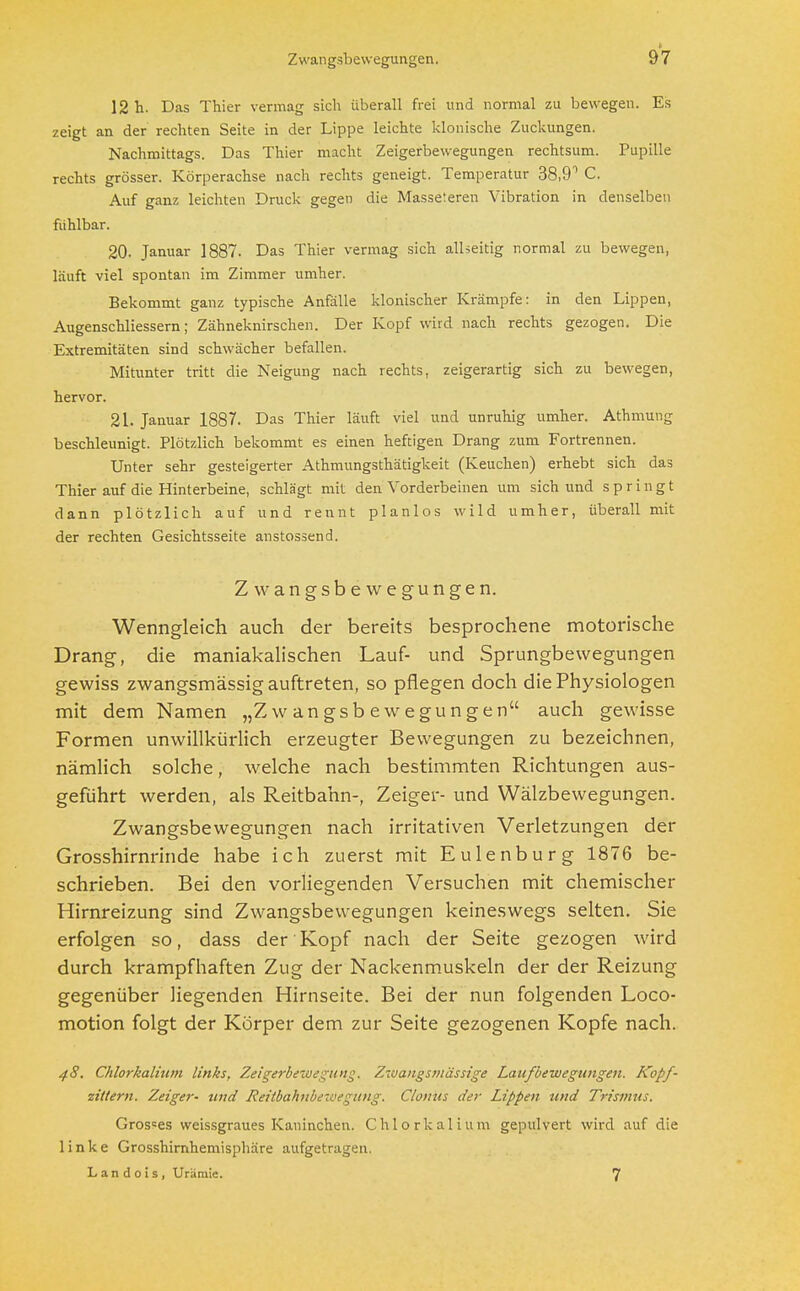 Zwangsbewegungen. 12 h. Das Thier vermag sich überall frei und normal zu bewegen. Es zeigt an der rechten Seite in der Lippe leichte klonische Zuckungen. Nachmittags. Das Thier macht Zeigerbewegungen rechtsum. Pupille rechts grösser. Körperachse nach rechts geneigt. Temperatur 38.91 C. Auf ganz leichten Druck gegen die Masseteren Vibration in denselben fühlbar. 20. Januar 1887- Das Thier vermag sich allseitig normal zu bewegen, läuft viel spontan im Zimmer umher. Bekommt ganz typische Anfälle klonischer Krämpfe: in den Lippen, Augenschliessern; Zähneknirschen. Der Kopf wird nach rechts gezogen. Die Extremitäten sind schwächer befallen. Mitunter tritt die Neigung nach rechts, zeigerartig sich zu bewegen, hervor. 21. Januar 1887. Das Thier läuft viel und unruhig umher. Athmung beschleunigt. Plötzlich bekommt es einen heftigen Drang zum Fortrennen. Unter sehr gesteigerter Athmungsthätigkeit (Keuchen) erhebt sich das Thier auf die Hinterbeine, schlägt mit den Vorderbeinen um sich und springt dann plötzlich auf und rennt planlos wild umher, überall mit der rechten Gesichtsseite anstossend. Zwangsbewegungen. Wenngleich auch der bereits besprochene motorische Drang, die maniakalischen Lauf- und Sprungbewegungen gewiss zwangsmässig auftreten, so pflegen doch die Physiologen mit dem Namen „Zwangsbewegungen auch gewisse Formen unwillkürlich erzeugter Bewegungen zu bezeichnen, nämlich solche, welche nach bestimmten Richtungen aus- geführt werden, als Reitbahn-, Zeiger- und Wälzbewegungen. Zwangsbewegungen nach irritativen Verletzungen der Grosshirnrinde habe ich zuerst mit Eulenburg 1876 be- schrieben. Bei den vorliegenden Versuchen mit chemischer Hirnreizung sind Zwangsbewegungen keineswegs selten. Sie erfolgen so, dass der Kopf nach der Seite gezogen wird durch krampfhaften Zug der Nackenmuskeln der der Reizung gegenüber liegenden Hirnseite. Bei der nun folgenden Loco- motion folgt der Körper dem zur Seite gezogenen Kopfe nach. 48. Chlorkalium links, Zeigerbewegung. Zwangst/lässige Laufbewegungen. Kopf- zillern. Zeiger- und Reitbahnbewegung. Clonus der Lippen und Trismus. Gros=es weissgraues Kaninchen. Chlorkalium gepulvert wird auf die linke Grosshirnhemisphäre aufgetragen.