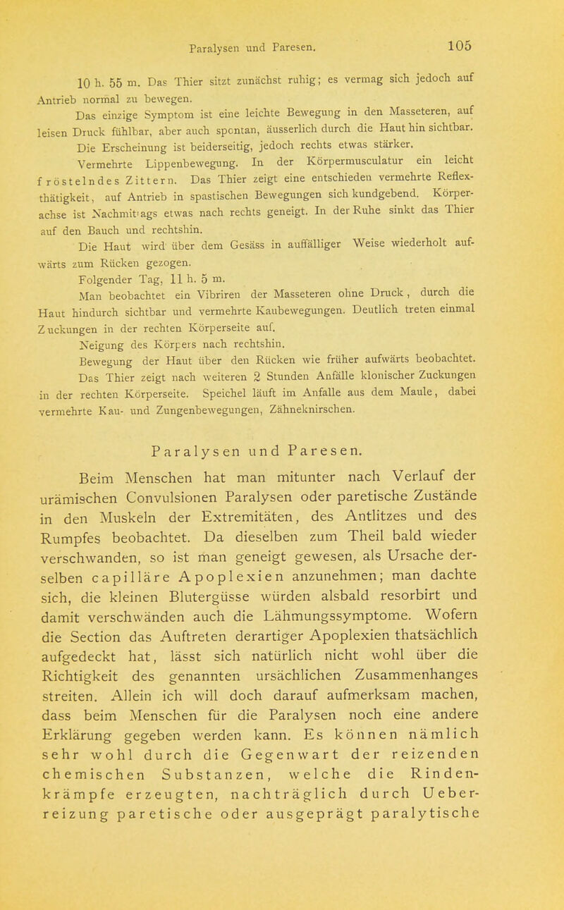 Paralysen und Paresen. 10 t. 55 m. Das Thier sitzt zunächst ruhig; es vermag sich jedoch auf Antrieb normal zu bewegen. Das einzige Symptom ist eine leichte Bewegung in den Masseteren, auf leisen Druck fühlbar, aber auch spontan, äusserlich durch die Haut hin sichtbar. Die Erscheinung ist beiderseitig, jedoch rechts etwas stärker. Vermehrte Lippenbewegung. In der Körpermusculatur ein leicht fröstelndes Zittern. Das Thier zeigt eine entschieden vermehrte Reflex- thätigkeit, auf Antrieb in spastischen Bewegungen sich kundgebend. Körper- achse ist Nachmifags etwas nach rechts geneigt. In der Ruhe sinkt das Thier auf den Bauch und rechtshin. Die Haut wird über dem Gesäss in auffälliger Weise wiederholt auf- wärts zum Rücken gezogen. Folgender Tag, 11 h. 5 m. Man beobachtet ein Vibriren der Masseteren ohne Druck , durch die Haut hindurch sichtbar und vermehrte Kaubewegungen. Deutlich treten einmal Zuckungen in der rechten Körperseite auf. Neigung des Körpers nach rechtshin. Bewegung der Haut über den Rücken wie früher aufwärts beobachtet. Das Thier zeigt nach weiteren 2 Stunden Anfälle klonischer Zuckungen in der rechten Körperseite. Speichel läuft im Anfalle aus dem Maule, dabei vermehrte Kau- und Zungenbewegungen, Zähneknirschen. Paralysen und Paresen. Beim Menschen hat man mitunter nach Verlauf der urämischen Convulsionen Paralysen oder paretische Zustände in den Muskeln der Extremitäten, des Antlitzes und des Rumpfes beobachtet. Da dieselben zum Theil bald wieder verschwanden, so ist man geneigt gewesen, als Ursache der- selben capilläre Apoplexien anzunehmen; man dachte sich, die kleinen Blutergüsse würden alsbald resorbirt und damit verschwänden auch die Lähmungssymptome. Wofern die Section das Auftreten derartiger Apoplexien thatsächlich aufgedeckt hat, lässt sich natürlich nicht wohl über die Richtigkeit des genannten ursächlichen Zusammenhanges streiten. Allein ich will doch darauf aufmerksam machen, dass beim Menschen für die Paralysen noch eine andere Erklärung gegeben werden kann. Es können nämlich sehr wohl durch die Gegenwart der reizenden chemischen Substanzen, welche die Rinden- krämpfe erzeugten, nachträglich durch Ueber- reizung paretische oder ausgeprägt paralytische