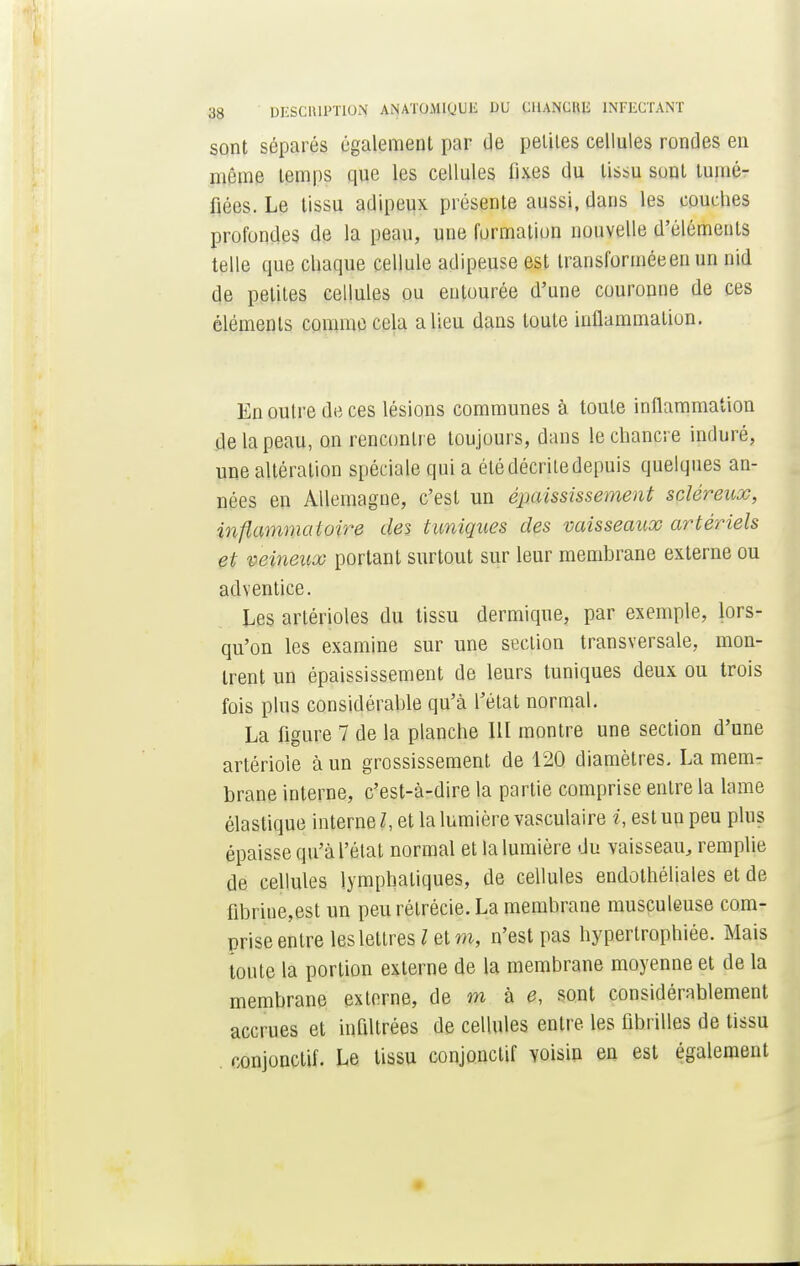 sont séparés également par de peliles cellules rondes en même temps que les cellules fixes du tissu sont tumé- fiées. Le tissu adipeux présente aussi, dans les couches profondes de la peau, une formation nouvelle d'éléments telle que chaque cellule adipeuse est transformée en un nid de petites cellules ou entourée d'une couronne de ces éléments comme cela a lieu dans toute inflammation. En outre de ces lésions communes à toute inflammation de la peau, on rencontre toujours, dans le chancre induré, une altération spéciale qui a été décrite depuis quelques an- nées en Allemagne, c'est un épaississement scléreux, inflammaluire des tuniques des vaisseaux artériels et veineux portant surtout sur leur membrane externe ou adventice. Les artérioles du tissu dermique, par exemple, lors- qu'on les examine sur une section transversale, mon- trent un épaississement de leurs tuniques deux ou trois fois plus considérable qu'à l'état normal. La figure 7 de la planche III montre une section d'une artérioie à un grossissement de 120 diamètres. La menir brane interne, c'est-à-dire la partie comprise entre la lame élastique interne l, et la lumière vasculaire ?',estunpeu plus épaisse qu'à l'état normal et la lumière du vaisseau, remplie de cellules lymphatiques, de cellules endothéliales et de fibrme,est un peu rétrécie. La membrane musculeuse com- prise entre les lettres l et m, n'est pas hypertrophiée. Mais toute la portion externe de la membrane moyenne et de la membrane externe, de m à e, sont considérablement accrues et infiltrées de cellules entre les fibrilles de tissu conjonctif. Le tissu conjonctif voisin en est également