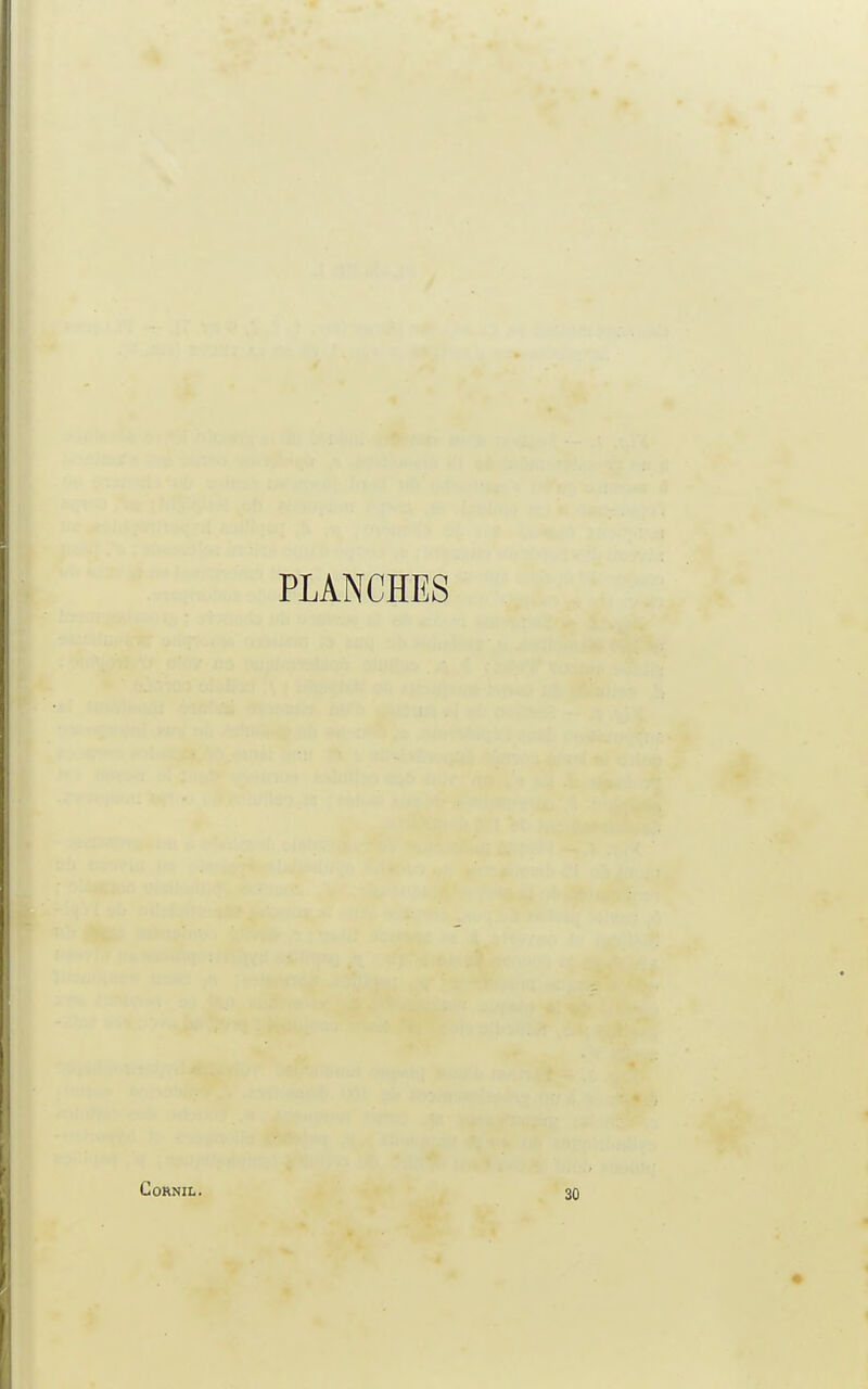 PLANCHES Cornil. 30