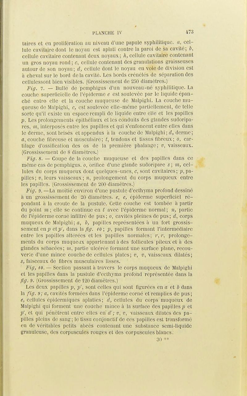 473 taires et en prolifération au niveau d'une papule syphilitique, a, cel- lule cavitaire dont le noyau est aplati contre la paroi de sa cavité; ô, cellule cavitaire contenant deux noyaux; 7i, cellule cavitaire contenant un gros noyau rond ; c, cellule contenant des granulations graisseuses autour de son noyau ; d, cellule dont le noyau en voie de division est à cheval sur le bord de la cavité. Les bords crénélés de séparation des cellulessont bien visibles. (Grossissement de 250 diamètres.) Fiff. 7. — Bulle de pcmphigus d'un nouveau-né syphilitique. La couche superficielle de l'épidémie e est soulevée par le liquide épan- ché entre elle et la couche muqueuse de Malpighi. La couche mu- queuse de Malpighi, c, esl soulevée elle-même partiellement, de telle sorte qu'il existe un espace rempli de liquide entre elle et les papilles p. Les prolongements épithéllaux et les conduits des glandes sudoripa- res, m, interposés entre les papilles et qui s'enfoncent entre elles dans le derme, sont brisés et appendus à la couche de Malpighi; d, derme; a, couche fibreuse et musculaire; t, tendons et tissus fibreux; o, car- tilage d'ossification des os de la première phalange; v, vaisseaux. (Grossissement de 8 diamètres.) Fiff. 8. — Coupe de la couche muqueuse et des papilles dans ce même cas de pcmphigus. o, orifice d'une glande sudoripare s ; m, cel- lules du corps muqueux dont quelques-unes, c, sont cavitaires; p, pa- pilles; v, leurs vaisseaux; n, prolongement du corps muqueux entre les papilles. (Grossissement de 200 diamètres.) Fiff. 9. —La moitié environ d'une pustule d'eclhyma profond dessiné à un grossissement de 20 diamètres, e, e, épidémie superficiel ré- pondant à la croûte de la pustule. Cette couche est tombée à partir du point m; elle se continue en t avec l'épiderme normal; n, partie de l'épiderme corné infiltré de pus; o, cavités pleines de pus; d, corps muqueux de Malpighi; a, b, papilles représentées à un fort grossis- sement en^> etp', dans la fiff. 10 ; p, papilles formant l'intermédiaire entre les papilles altérées et les papilles normales; r,r, prolonge- ments du corps muqueux appartenant à des follicules pileux et à des glandes sébacées; m, partie ulcérée formant une surface plane, recou- verte d'une mince couche de cellules plates; v, v, vaisseaux dilatés; s, faisceaux de fibres musculaires lisses. Fiff, 10. — Section passant à travers le corps muqueux de Malpighi et les papilles dans la pustule d'eclhyma profond représentée dans la fiff. 9. (Grossissement de 120 diamètres.) Les deux papilles p, p', sont celles qui sont figurées en a et b dans la fiff. 9; a, cavités formées dans l'épiderme corné et remplies de pus; e, cellules épidermiques aplaties; d, cellules du corps muqueux de Malpighi qui forment une couche mince à la surface des papilles p et p\ et qui pénètrent entre elles en d'; v, v, vaisseaux dilatés des pa- pilles pleins de sang; le tissu conjonctif de ces papilles est transformé en de véritables petits abcès contenant une substance semi-liquide granuleuse, des corpuscules rouges et des corpuscules blancs. 30 **