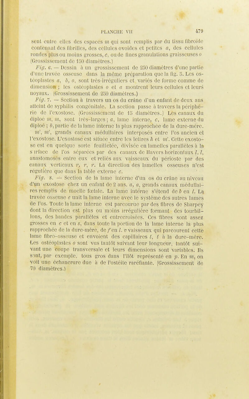 sent entre elles des espaces m qui sont remplis par du tissu fibroïde contenant des fibrilles, des cellules ovoides et petites a, des cellules rondes plus ou moins grosses, c, ou de flues granulations graisseuses o (Grossissement de 150 diamètres.) Fiff. a. — Dessin à un grossissement de 250 diamètres d'une partie d'une travée osseuse dans la même préparation que la fig. 5. Les os- téoplastes a, b, o, sont très-irréguliers et variés de forme comme de dimension ; les ostéoplastes o et a montrent leurs cellules et leurs noyaux. (Grossissement de 250 diamètres.) Fiff. 7. — Section à travers un os du crâne d'un enfant de deux ans atteint de syphilis congénitale. La section passe à travers la périphé- rie de l'exostose. (Grossissement de 15 diamètres.) Les canaux du diploé m, m, sont très-larges ; a, lame interne, c, lame externe du diploé ; b, partie de la lame interne la plus rapprochée de la dure-mère. m', m\ grands canaux médullaires interposés entre l'os ancien et l'exostose. L'exostose est située entre les lettres h et m. Celte exosto- sc est en quelque sorte feuilletée, divisée en lamelles parallèles à la s irfaçe de l'os séparées par des canaux de Havers horizontaux l, l, anastomosés entre eux et reliés aux vaisseaux du périoste par des canaux verticaux r, r, r. La direction des lamelles osseuses n'est régulière que dans la table externe c. Fiff. s. — Section de la lame interne d'un os du crâne au niveau d'un exostosc chez un enfant de 2 ans. a, a, grands canaux médullai- res remplis de moelle fœtale. La lame interne s'étend de l en l. La. travée osseuse e unit la lame interne avec le système des autres lames de l'os. Toute la lame interne est parcourue par des fibres de Sharpey dont la direction est plus ou moins irrégulière formant des tourbil- lons, des bandes parallèles et entrecroisées. Ces fibres sont assez grosses en c et en s, dans toute la portion de la lame interne la plus rapprochée de la dure-mère, de fen l. v vaisseaux qui parcourent cette lame fibro-osscuse et envoient des capillaires t, t à la dure-mère. Les ostéoplastes o sont vus tantôt suivant leur longueur, tantôt sui- vant une coupe transversale et leurs dimensions sont variables. Ils sont, par exemple, tous gros dans l'ilôt représenté en p. En m, on voit une échancrurc duc à de l'ostéite raréfiante. (Grossissement de 70 diamètres.)