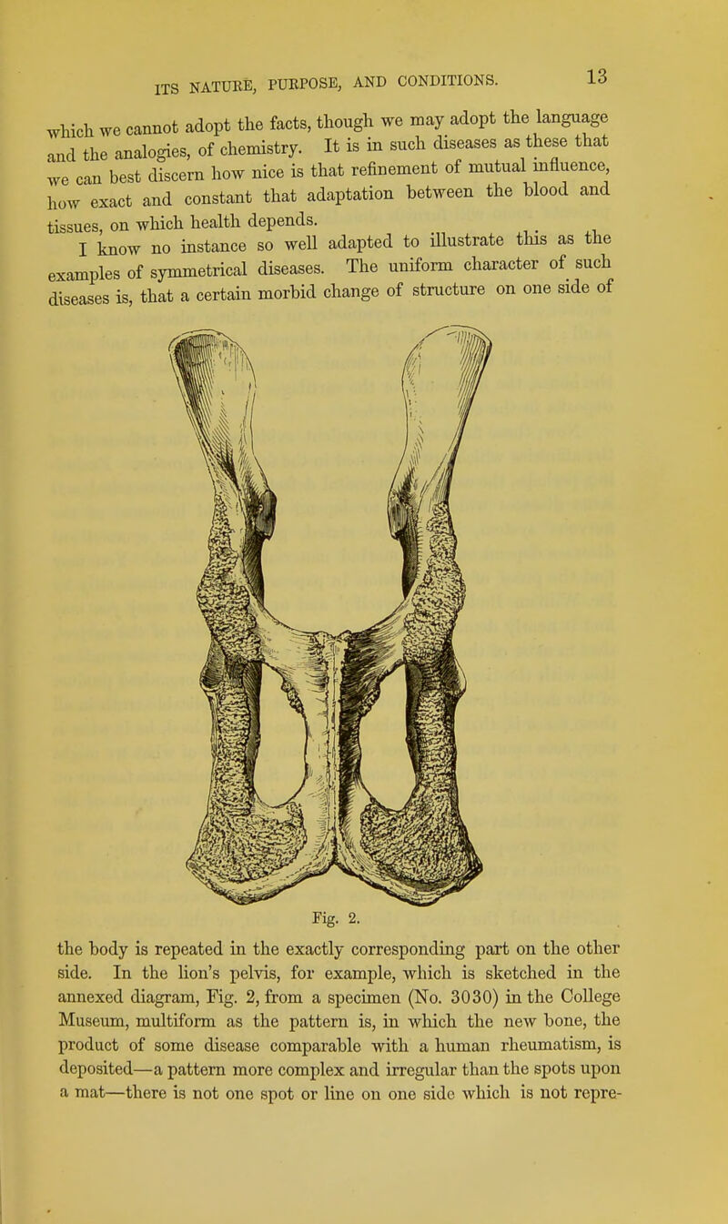 wliich we cannot adopt the facts, though we may adopt the language and the analogies, of chemistry. It is in such diseases as these that we can best discern how nice is that refinement of mutual mfluence, how exact and constant that adaptation between the blood and tissues, on which health depends. _ I know no instance so weU adapted to illustrate this as the examples of symmetrical diseases. The uniform character of such diseases is, that a certain morbid change of structure on one side of Fig. 2. the body is repeated in the exactly corresponding part on the other side. In the lion's pelvis, for example, which is sketched in the annexed diagram. Fig. 2, from a specimen (No. 3030) in the College Museum, multiform as the pattern is, in which the new bone, the product of some disease comparable with a human rheumatism, is deposited—a pattern more complex and irregular than the spots upon a mat—there is not one spot or line on one side which is not repre-