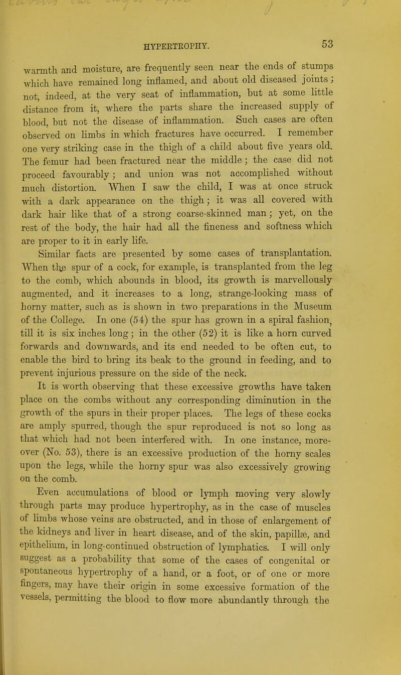 warmth and moisture, are frequently seen near the ends of stumps which have remained long inflamed, and about old diseased joints; not, indeed, at the very seat of inflammation, but at some little distance from it, where the parts share the increased supply of blood, but not the disease of inflammation. Such cases are often observed on limbs in which fractures have occurred. I remember one very strildng case in the thigh of a child about five years old. The femur had been fractured near the middle; the case did not proceed favourably; and union was not accomplished without much distortion. When I saw the child, I was at once struck with a dark appearance on the thigh; it was all covered with dark hair like that of a strong coarse-skinned man; yet, on the rest of the body, the hair had all the fineness and softness which are proper to it in early life. Similar facts are presented by some cases of transplantation. When th.e spur of a cock, for example, is transplanted from the leg to the comb, which abounds in blood, its growth is marvellously augmented, and it increases to a long, strange-looking mass of horny matter, such as is shown in two preparations in the Museum of the College. In one (54) the spur has grown in a spiral fashion^ till it is six inches long; in the other (52) it is like a horn curved forwards and downwards, and its end needed to be often cut, to enable the bird to bring its beak to the ground in feeding, and to prevent injurious pressure on the side of the neck. It is worth observing that these excessive growths have taken place on the combs without any corresponding diminution in the growth of the spurs in their proper places. The legs of these cocks are amply spurred, though the spur reproduced is not so long as that which had not been interfered with. In one instance, more- over (No. 53), there is an excessive production of the horny scales upon the legs, while the homy spur was also excessively growing on the comb. Even accumulations of blood or lymph moving very slowly through parts may produce hypertrophy, as in the case of muscles of limbs whose veins are obstructed, and in those of enlargement of the kidneys and liver in heart disease, and of the skin, papillte, and epithelium, in long-continued obstruction of lymphatics. I will only suggest as a probability that some of the cases of congenital or spontaneous hypertrophy of a hand, or a foot, or of one or more fingers, may have their origin in some excessive formation of the vessels, permitting the blood to flow more abundantly tlirough the