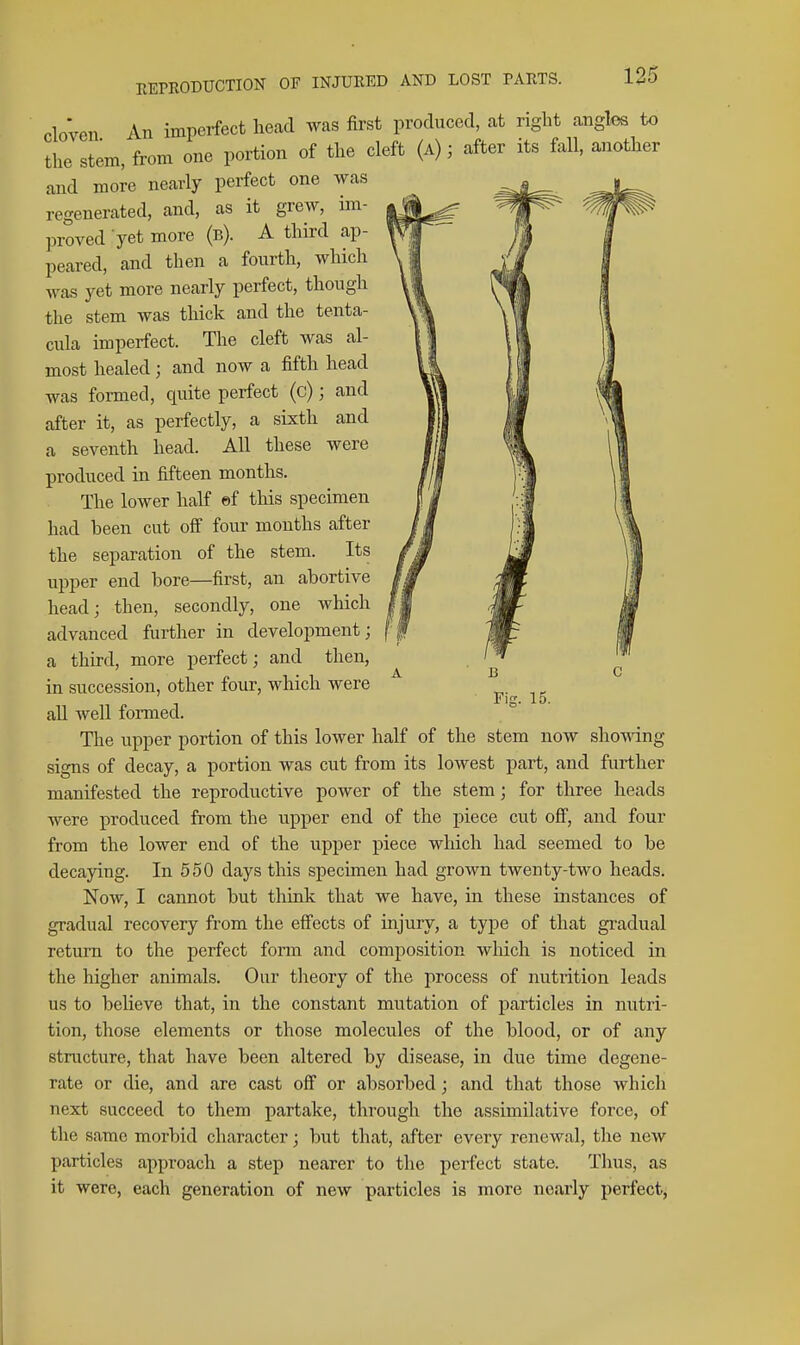 12f clo'ven An imperfect head was first produced, at right angles to the stem, from one portion of the cleft (a) ; after its fall, another and more nearly perfect one was regenerated, and, as it grew, im- proved yet more (b). A third ap- peared, and then a fourth, which was yet more nearly perfect, though the stem was thick and the tenta- cula imperfect. The cleft was al- most healed; and now a fifth head was formed, quite perfect (c); and after it, as perfectly, a sixth and a seventh head. All these were produced in fifteen months. The lower half ©f this specimen had been cut off four months after the separation of the stem. Its upper end bore—first, an abortive head; then, secondly, one which advanced further in development; a third, more perfect; and then, in succession, other four, which were all well formed. The upper portion of this lower half of the stem now shomng signs of decay, a portion was cut from its lowest part, and further manifested the reproductive power of the stem; for three heads were produced from the upper end of the piece cut off, and four from the lower end of the upper piece which had seemed to be decaying. In 550 days this specimen had grown twenty-two heads. Now, I cannot but think that we have, in these instances of gradual recovery from the effects of injury, a type of that gi-adual return to the perfect form and composition which is noticed in the higher animals. Our theory of the process of nutrition leads us to believe that, in the constant mutation of particles in nutri- tion, those elements or those molecules of the blood, or of any structure, that have been altered by disease, in due time degene- rate or die, and are cast off or absorbed; and that those which next succeed to them partake, through the assimilative force, of the same morbid character; but that, after every renewal, the new particles approach a step nearer to the perfect state. Thus, as it were, each generation of new particles is more nearly perfect,