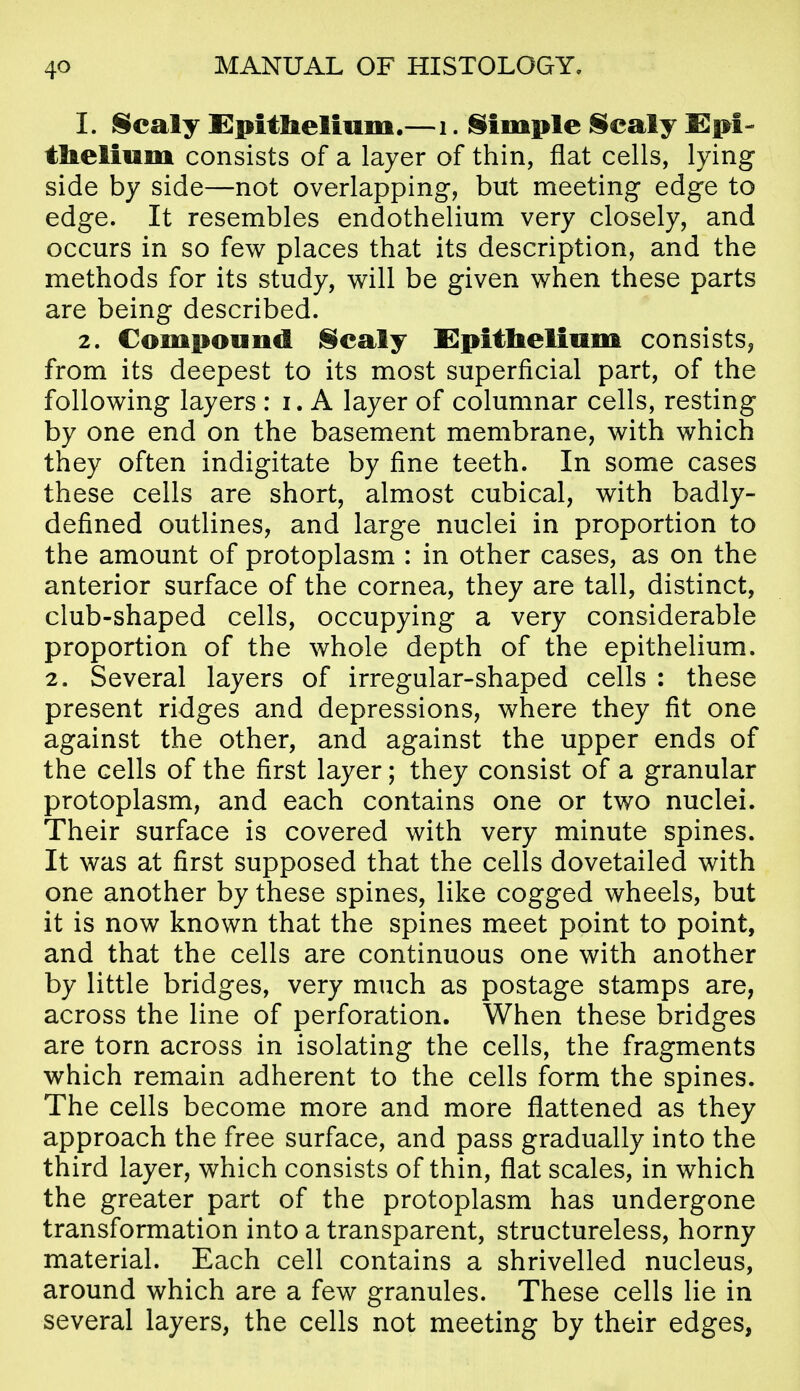 1. Scaly Epitlielmm.—i. §^imple Scaly Epi- thelium consists of a layer of thin, flat cells, lying side by side—not overlapping, but meeting edge to edge. It resembles endothelium very closely, and occurs in so few places that its description, and the methods for its study, will be given when these parts are being described. 2. Compound Scaly Epitbelinm consists, from its deepest to its most superficial part, of the following layers : i. A layer of columnar cells, resting by one end on the basement membrane, with which they often indigitate by fine teeth. In some cases these cells are short, almost cubical, with badly- defined outlines, and large nuclei in proportion to the amount of protoplasm : in other cases, as on the anterior surface of the cornea, they are tall, distinct, club-shaped cells, occupying a very considerable proportion of the whole depth of the epithelium. 2. Several layers of irregular-shaped cells : these present ridges and depressions, where they fit one against the other, and against the upper ends of the cells of the first layer; they consist of a granular protoplasm, and each contains one or two nuclei. Their surface is covered with very minute spines. It was at first supposed that the cells dovetailed with one another by these spines, like cogged wheels, but it is now known that the spines meet point to point, and that the cells are continuous one with another by little bridges, very much as postage stamps are, across the line of perforation. When these bridges are torn across in isolating the cells, the fragments which remain adherent to the cells form the spines. The cells become more and more flattened as they approach the free surface, and pass gradually into the third layer, which consists of thin, flat scales, in which the greater part of the protoplasm has undergone transformation into a transparent, structureless, horny material. Each cell contains a shrivelled nucleus, around which are a few granules. These cells lie in several layers, the cells not meeting by their edges,
