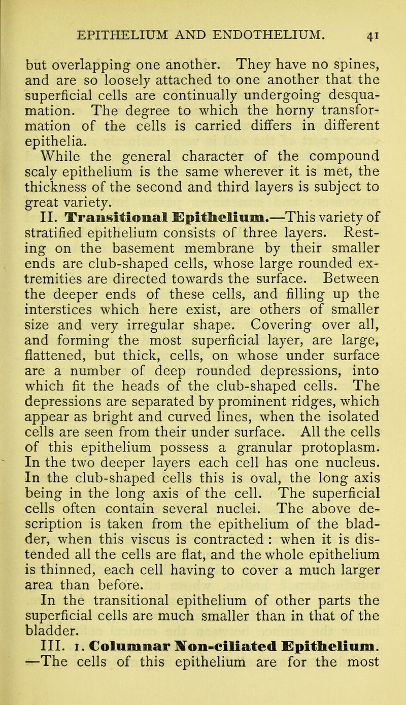 but overlapping one another. They have no spines, and are so loosely attached to one another that the superficial cells are continually undergoing desqua- mation. The degree to which the horny transfor- mation of the cells is carried differs in different epithelia. While the general character of the compound scaly epithelium is the same wherever it is met, the thickness of the second and third layers is subject to great variety. IL Tramsitional £]pitlielmm.—This variety of stratified epithelium consists of three layers. Rest- ing on the basement membrane by their smaller ends are club-shaped cells, whose large rounded ex- tremities are directed towards the surface. Between the deeper ends of these cells, and fiUing up the interstices which here exist, are others of smaller size and very irregular shape. Covering over all, and forming the most superficial layer, are large, flattened, but thick, cells, on whose under surface are a number of deep rounded depressions, into which fit the heads of the club-shaped cells. The depressions are separated by prominent ridges, which appear as bright and curved lines, when the isolated cells are seen from their under surface. All the cells of this epithelium possess a granular protoplasm. In the two deeper layers each cell has one nucleus. In the club-shaped cells this is oval, the long axis being in the long axis of the cell. The superficial cells often contain several nuclei. The above de- scription is taken from the epithelium of the blad- der, when this viscus is contracted : when it is dis- tended all the cells are flat, and the whole epithelium is thinned, each cell having to cover a much larger area than before. In the transitional epithelium of other parts the superficial cells are much smaller than in that of the bladder. IIL I. Columnar IVon-ciliated C]pitlielmm. —The cells of this epithelium are for the most