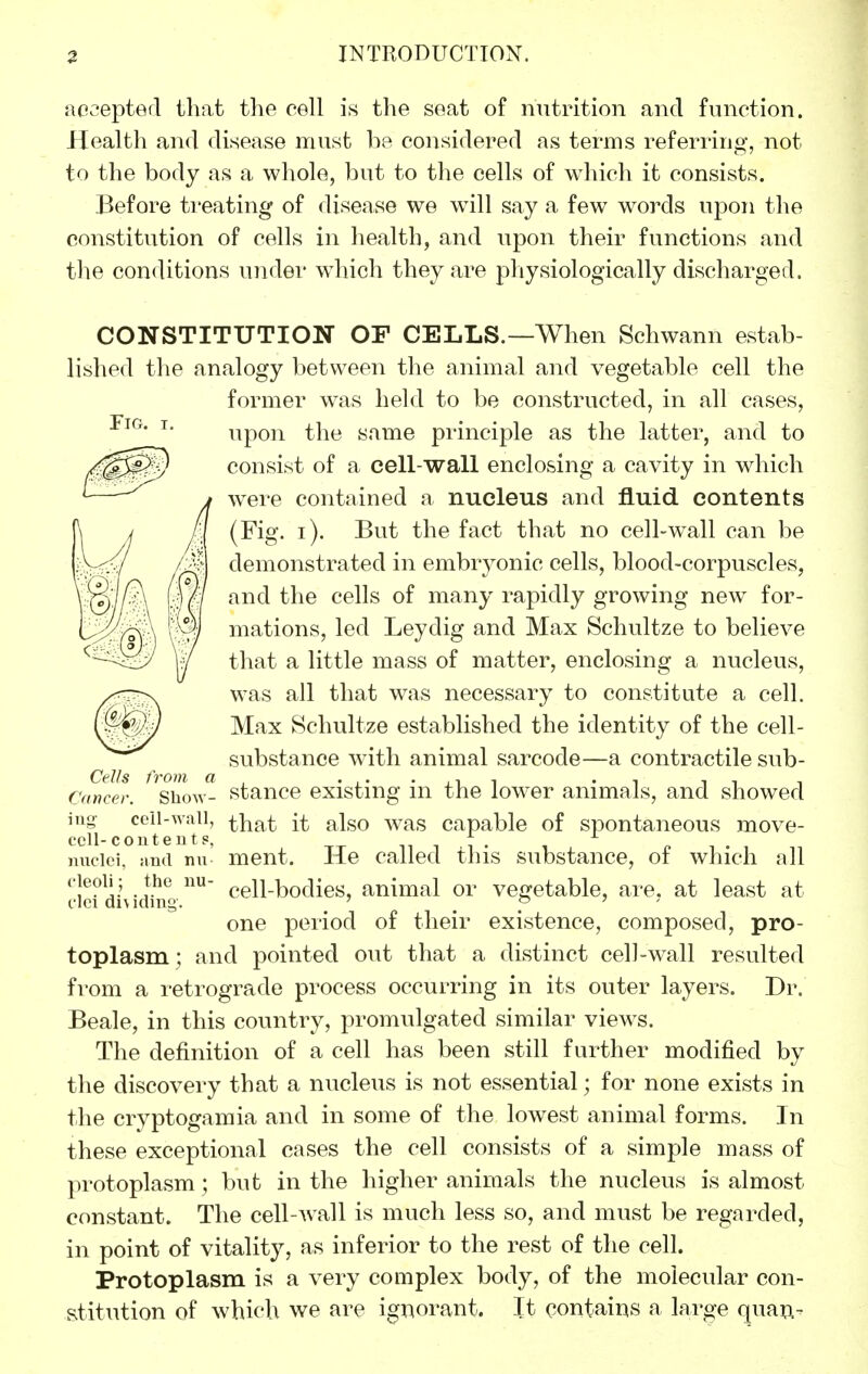 aocepted that the cell is the seat of nutrition and function. Health and disease must be considered as terms referring, not to the body as a whole, but to the cells of which it consists. Before treating of disease we will say a few words upon the constitution of cells in health, and upon their functions and the conditions undei' wdiich they are physiologically discharged. Fig. CONSTITUTION OF CELLS.—When Schwann estab- lished the analogy between the animal and vegetable cell the former was held to be constructed, in all cases, upon the same principle as the latter, and to consist of a cell-wall enclosing a cavity in which were contained a nucleus and fluid contents (Fig. i). But the fact that no cell-wall can be demonstrated in embr3^onic cells, blood-corpuscles, and the cells of many rapidly growing new for- mations, led Leydig and Max Schultze to believe that a little mass of matter, enclosing a nucleus, was all that was necessary to constitute a cell. Max Schultze established the identity of the cell- substance with animal sarcode—a contractile sub- stance existing in the lower animals, and showed that it also was capable of spontaneous move- ment. He called this substance, of which all cell-bodies, animal or vegetable, ai'e, at least at one period of their existence, composed, pro- toplasm; and pointed out that a distinct cell-w^all resulted from a retrograde process occurring in its outer layers. Dr. Beale, in this country, promulgated similar views. The definition of a cell has been still further modified by the discovery that a nucleus is not essential; for none exists in the cryptogamia and in some of the low^est animal forms. In these exceptional cases the cell consists of a simple mass of protoplasm ; but in the higher animals the nucleus is almost constant. The cell-wall is much less so, and must be regarded, in point of vitality, as inferior to the rest of the cell. Protoplasm is a very complex body, of the molecular con- stitution of which we are ignorant. It contains a large quan- Cells from a Cancer. Show- ing- ceil-wall, cell- c out en t p, nuclei, and nu cleoli; the nu- clei dividing.