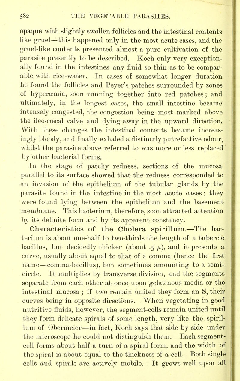 opaque with slightly swollen follicles and the intestinal contents like gruel — this happened only in the most acute cases, and the gruel-like contents presented almost a pure cultivation of the parasite presently to be described. Koch only very exception- ally found in the intestines any fluid so thin as to be compar- able with rice-water. In cases of somewhat longer duration he found the follicles and Peyer's patches surrounded by zones of hypersemia, soon running together into red patches; and ultimately, in the longest cases, the small intestine became intensely congested, the congestion being most marked above the ileo-coecal valve and dying away in the upward direction. With these changes the intestinal contents became increas- ingly bloody, and finally exhaled a distinctly putrefactive odour, whilst the parasite above referred to was more or less replaced by other bacterial forms. In the stage of patchy redness, sections of the mucosa parallel to its surface showed that the redness corresponded to an invasion of the epithelium of the tubular glands by the parasite found in the intestine in the most acute cases : they were found lying between the epithelium and the basement membrane. This bacterium, therefore, soon attracted attention by its definite form and by its apparent constancy. Characteristics of the Cholera spirillum.—The bac- terium is about one-half to two-thirds the length of a tubercle bacillus, but decidedly thicker (about .5 fx), and it presents a curve, usually about equal to that of a comma (hence the first name—comma-bacillus), but sometimes amounting to a semi- circle. It multiplies by transverse division, and the segments separate from each other at once upon gelatinous media or the intestinal mucosa ; if two remain united they form an S, their curves being in opposite directions. When vegetating in good nutritive fluids, however, the segment-cells remain united until they form deUcate spirals of some length, very like the spiril- lum of Obermeier—in fact, Koch says that side by side under the microscope he could not distinguish them. Each segment- cell forms about half a turn of a spiral form, and the width of the s[ira] is about equal to the thickness of a cell. Both single cells and spirals are actively mobile. It grows well upon all