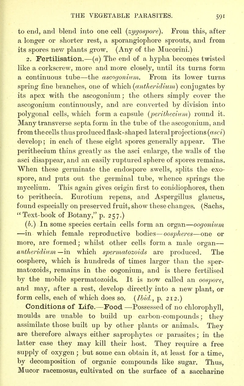 to end, and blend into one cell {zygospore). From this, after a longer or shorter rest, a sporangiophore sprouts, and from its spores new plants grow. (Any of the Mucorini.) 2. Fertilisation.—{a) The end of a hypha becomes twisted like a corkscrew, more and more closely, until its turns form a continuous tube—the ascngonium. From its lower turns spring fine branches, one of which {cmtheridium) conjugates by its apex with the ascogonium; the others simply cover the ascogonium continuously, and are converted by division into polygonal cells, which form a capsule (perithecium) round it. Many transverse septa form in the tube of the ascogonium, and from the cells thus produced flask-shaped lateral projections (cisci) develop; in each of these eight spores generally appear. The perithecium thins greatl}^ as the asci enlarge, the walls of the asci disappear, and an easily ruptured sphere of spores remains. When these germinate the endospore swells, splits the exo- spore, and puts out the germinal tube, whence springs the mycelium. This again gives origin first to conidiophores, then to perithecia. Eurotium repens, and Aspergillus glaucus, found especially on preserved fruit, show these changes. (Sachs, Text-book of Botany, p. 257.) {b.) In some species certain cells form an organ—oogonimn —in which female reproductive bodies—oospheres—one or more, are formed; whilst other cells form a male organ— antheridium—in which spermatozoids are produced. The oosphere, which is hundreds of times larger than the sper- matozoids, remains in the oogonium, and is there fertilised by the mobile spermatozoids. It is now called an oospore^ and may, after a rest, develop directly into a new plant, or form cells, each of which does so. {Ibid., p. 212.) Conditions of Life.—Food —Possessed of no chlorophyll, moulds are unable to build up carbon-compounds; they assimilate those built up by other plants or animals. They are therefore always either saprophytes or parasites; in the latter case they may kill their host. They require a free supply of oxygen ; but some can obtain it, at least for a time, by decomposition of organic compounds like sugar. Thus, Mucor racemosus, cultivated on the surface of a saccharine