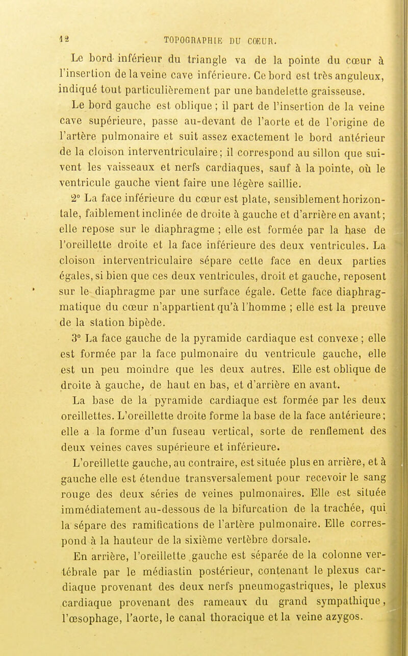 Le bord inférieur du triangle va de la pointe du cœur à l'insertion de la veine cave inférieure. Ce bord est très anguleux, indiqué tout particulièrement par une bandelette graisseuse. Le bord gauche est oblique ; il part de l'insertion de la veine cave supérieure, passe au-devant de l'aorte et de l'origine de l'artère pulmonaire et suit assez exactement le bord antérieur de la cloison interventriculaire ; il correspond au sillon que sui- vent les vaisseaux et nerfs cardiaques, sauf à la pointe, où le ventricule gauche vient faire une légère saillie. 2° La face inférieure du cœur est plate, sensiblement horizon- tale, faiblement inclinée de droite à gauche et d'arrière en avant; elle repose sur le diaphragme ; elle est formée par la base de l'oreillette droite et la face inférieure des deux ventricules. La cloison interventriculaire sépare cette face en deux parties égales, si bien que ces deux ventricules, droit et gauche, reposent sur le diaphragme par une surface égale. Cette face diaphrag- matique du cœur n'appartient qu'à l'homme ; elle est la preuve de la station bipède. 3° La face gauche de la pyramide cardiaque est convexe ; elle est formée par la face pulmonaire du ventricule gauche, elle est un peu moindre que les deux autres. Elle est oblique de droite à gauche, de haut en bas, et d'arrière en avant. La base de la pyramide cardiaque est formée par les deux oreillettes. L'oreillette droite forme la base de la face antérieure; elle a la forme d'un fuseau vertical, sorte de renflement des deux veines caves supérieure et inférieure. L'oreillette gauche, au contraire, est située plus en arrière, et à gauche elle est étendue transversalement pour recevoir le sang rouge des deux séries de veines pulmonaires. Elle est située immédiatement au-dessous de la bifurcation de la trachée, qui la sépare des ramifications de l'artère pulmonaire. Elle corres- pond à la hauteur de la sixième vertèbre dorsale. En arrière, l'oreillette gauche est séparée de la colonne ver- tébrale par le médiastin postérieur, contenant le plexus car- diaque provenant des deux nerfs pneumogastriques, le plexus cardiaque provenant des rameaux du grand sympathique, l'œsophage, l'aorte, le canal thoracique et la veine azygos.