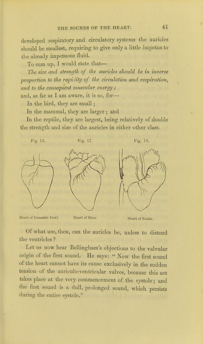 developed respiratory and circulatory systems the auricles should be smallest, requiring to give ordy a little impetus to the abeady impetuous fluid. To sum up, I would state that— TJie size and strength of the auricles should be in inverse proportion to the rapiiity of the circulation and respiration^ and to the consequent muscular energy ; and, as far as I am aware, it is so, for— In the bird, they are small; In the mammal, they are larger ; and In the reptile, they are largest, being relatively of double the strength, and size of the auricles in either other class. Fig. 16. Fig. 17. Fig. 18. Heart of Domestic Fowl. Heart of Hare. Heart of SnaUe. Of what use, then, can the auricles be, unless to distend the ventricles ? Let us now hear Bellingham's objections to tlie valvular origin of the first sound. He says:  Now the first sound of the heart cannot have its cause exclusively in the sudden tension of the auriculo-ventricular valves, because this act takes place at the very commencement of the systole; and the first sound is a dull, prolonged sound, which persists during the entire systole.