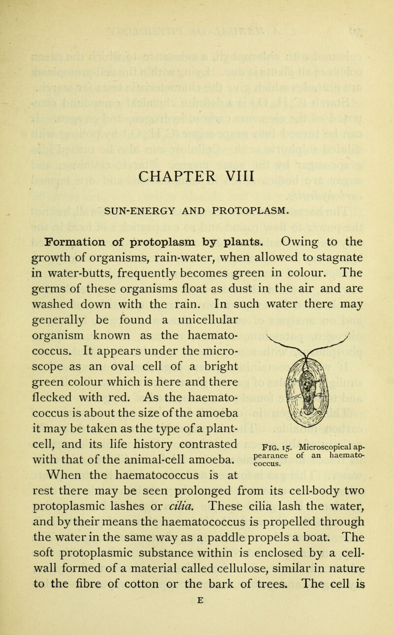CHAPTER VIII SUN-ENERGY AND PROTOPLASM. Formation of protoplasm by plants. Owing to the growth of organisms, rain-water, when allowed to stagnate in water-butts, frequently becomes green in colour. The germs of these organisms float as dust in the air and are washed down with the rain. In such water there may generally be found a unicellular organism known as the haemato- coccus. It appears under the micro- scope as an oval cell of a bright green colour which is here and there flecked with red. As the haemato- coccus is about the size of the amoeba it may be taken as the type of a plant- cell, and its life history contrasted fig. 15. Microscopical ap. with that ofthe animal-cell amoeba. '^^^^'^ When the haematococcus is at rest there may be seen prolonged from its cell-body two protoplasmic lashes or dim. These cilia lash the water, and by their means the haematococcus is propelled through the water in the same way as a paddle propels a boat. The soft protoplasmic substance within is enclosed by a cell- wall formed of a material called cellulose, similar in nature to the fibre of cotton or the bark of trees. The cell is E