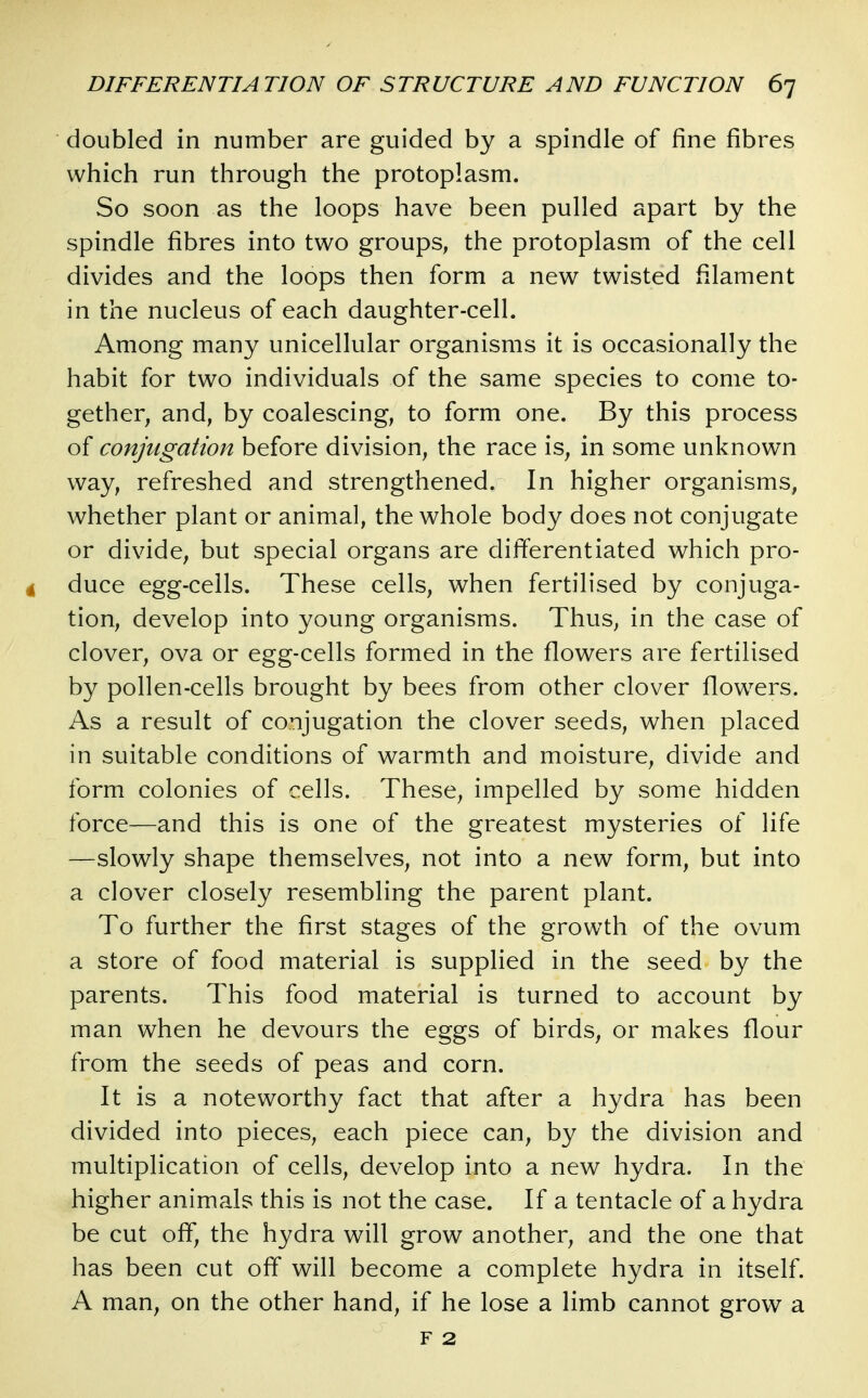 doubled in number are guided by a spindle of fine fibres which run through the protoplasm. So soon as the loops have been pulled apart by the spindle fibres into two groups, the protoplasm of the cell divides and the loops then form a new twisted filament in the nucleus of each daughter-cell. Among many unicellular organisms it is occasionally the habit for two individuals of the same species to come to- gether, and, by coalescing, to form one. By this process of conjugation before division, the race is, in some unknown way, refreshed and strengthened. In higher organisms, whether plant or animal, the whole body does not conjugate or divide, but special organs are differentiated which pro- 4 duce egg-cells. These cells, when fertilised by conjuga- tion, develop into young organisms. Thus, in the case of clover, ova or egg-cells formed in the flowers are fertilised by pollen-cells brought by bees from other clover flowers. As a result of conjugation the clover seeds, when placed in suitable conditions of warmth and moisture, divide and form colonies of cells. These, impelled by some hidden force—and this is one of the greatest mysteries of life —slowly shape themselves, not into a new form, but into a clover closely resembling the parent plant. To further the first stages of the growth of the ovum a store of food material is supplied in the seed by the parents. This food material is turned to account by man when he devours the eggs of birds, or makes flour from the seeds of peas and corn. It is a noteworthy fact that after a hydra has been divided into pieces, each piece can, by the division and multiplication of cells, develop into a new hydra. In the higher animal? this is not the case. If a tentacle of a hydra be cut off, the hydra will grow another, and the one that has been cut off will become a complete hydra in itself. A man, on the other hand, if he lose a limb cannot grow a F 2