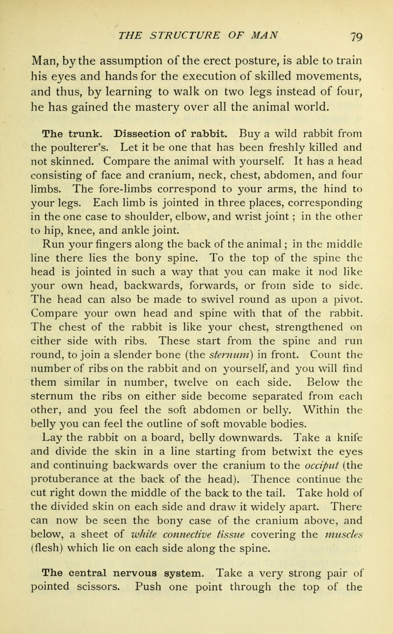 Man, by the assumption of the erect posture, is able to train his eyes and hands for the execution of skilled movements, and thus, by learning to walk on two legs instead of four, he has gained the mastery over all the animal world. The trunk. Dissection of rabbit. Buy a wild rabbit from the poulterer's. Let it be one that has been freshly killed and not skinned. Compare the animal with yourself It has a head consisting of face and cranium, neck, chest, abdomen, and four limbs. The fore-limbs correspond to your arms, the hind to your legs. Each limb is jointed in three places, corresponding in the one case to shoulder, elbow, and w^rist joint ; in the other to hip, knee, and ankle joint. Run your fingers along the back of the animal; in the middle line there lies the bony spine. To the top of the spine the head is jointed in such a way that you can make it nod like your own head, backwards, forwards, or from side to side. The head can also be made to swivel round as upon a pivot. Compare your own head and spine with that of the rabbit. The chest of the rabbit is like your chest, strengthened on either side with ribs. These start from the spine and run round, to join a slender bone (the sternum) in front. Count the number of ribs on the rabbit and on yourself, and you will find them similar in number, twelve on each side. Below the sternum the ribs on either side become separated from each other, and you feel the soft abdomen or belly. Within the belly you can feel the outline of soft movable bodies. Lay the rabbit on a board, belly downwards. Take a knife and divide the skin in a line starting from betwixt the eyes and continuing backwards over the cranium to the occiput (the protuberance at the back of the head). Thence continue the cut right down the middle of the back to the tail. Take hold of the divided skin on each side and draw it widely apart. There can now be seen the bony case of the cranium above, and below, a sheet of white connective tissue covering the muscles (flesh) which lie on each side along the spine. The central nervous system. Take a very strong pair of pointed scissors. Push one point through the top of the