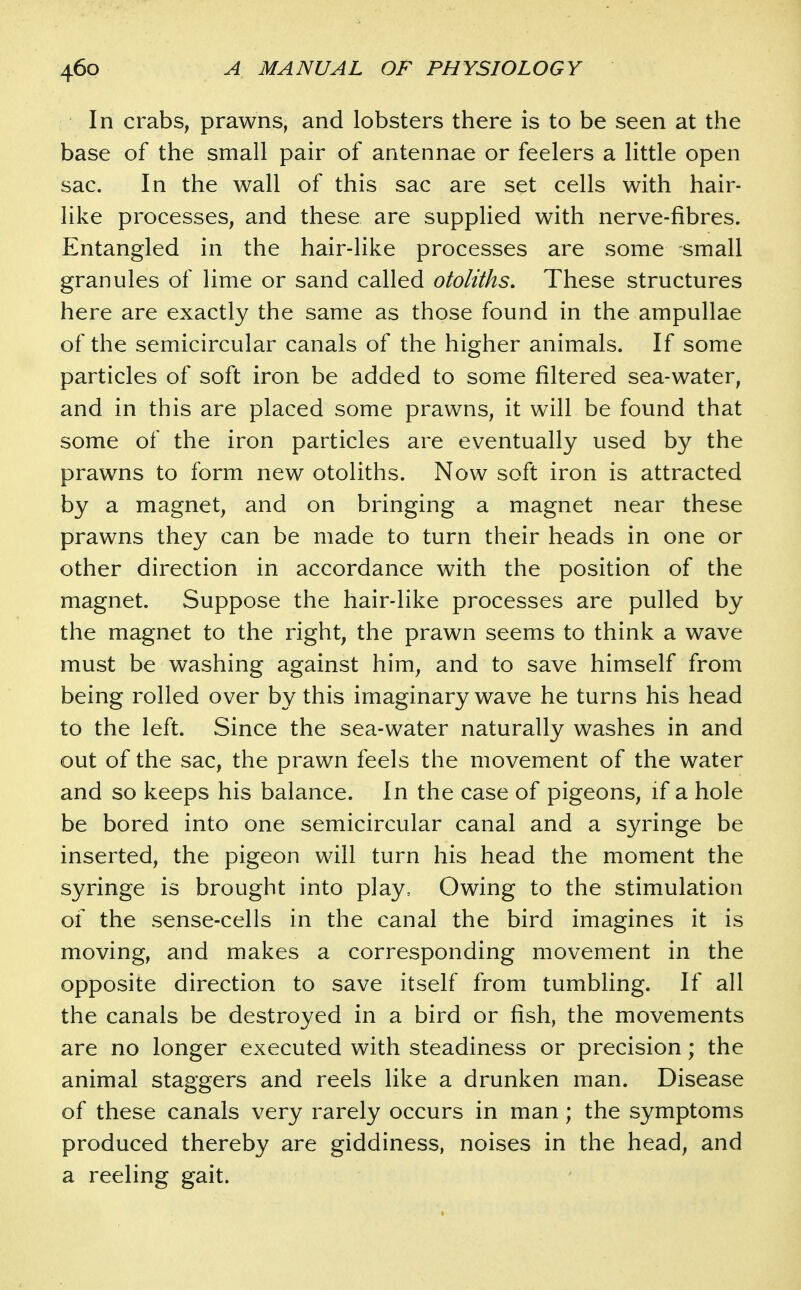 In crabs, prawns, and lobsters there is to be seen at the base of the small pair of antennae or feelers a little open sac. In the wall of this sac are set cells with hair- like processes, and these are supplied with nerve-fibres. Entangled in the hair-like processes are some small granules of lime or sand called otoliths. These structures here are exactly the same as those found in the ampullae of the semicircular canals of the higher animals. If some particles of soft iron be added to some filtered sea-water, and in this are placed some prawns, it will be found that some of the iron particles are eventually used by the prawns to form new otoliths. Now soft iron is attracted by a magnet, and on bringing a magnet near these prawns they can be made to turn their heads in one or other direction in accordance with the position of the magnet. Suppose the hair-like processes are pulled by the magnet to the right, the prawn seems to think a wave must be washing against him, and to save himself from being rolled over by this imaginary wave he turns his head to the left. Since the sea-water naturally washes in and out of the sac, the prawn feels the movement of the water and so keeps his balance. In the case of pigeons, if a hole be bored into one semicircular canal and a syringe be inserted, the pigeon will turn his head the moment the syringe is brought into play. Owing to the stimulation of the sense-cells in the canal the bird imagines it is moving, and makes a corresponding movement in the opposite direction to save itself from tumbling. If all the canals be destroyed in a bird or fish, the movements are no longer executed with steadiness or precision; the animal staggers and reels like a drunken man. Disease of these canals very rarely occurs in man; the symptoms produced thereby are giddiness, noises in the head, and a reeling gait.