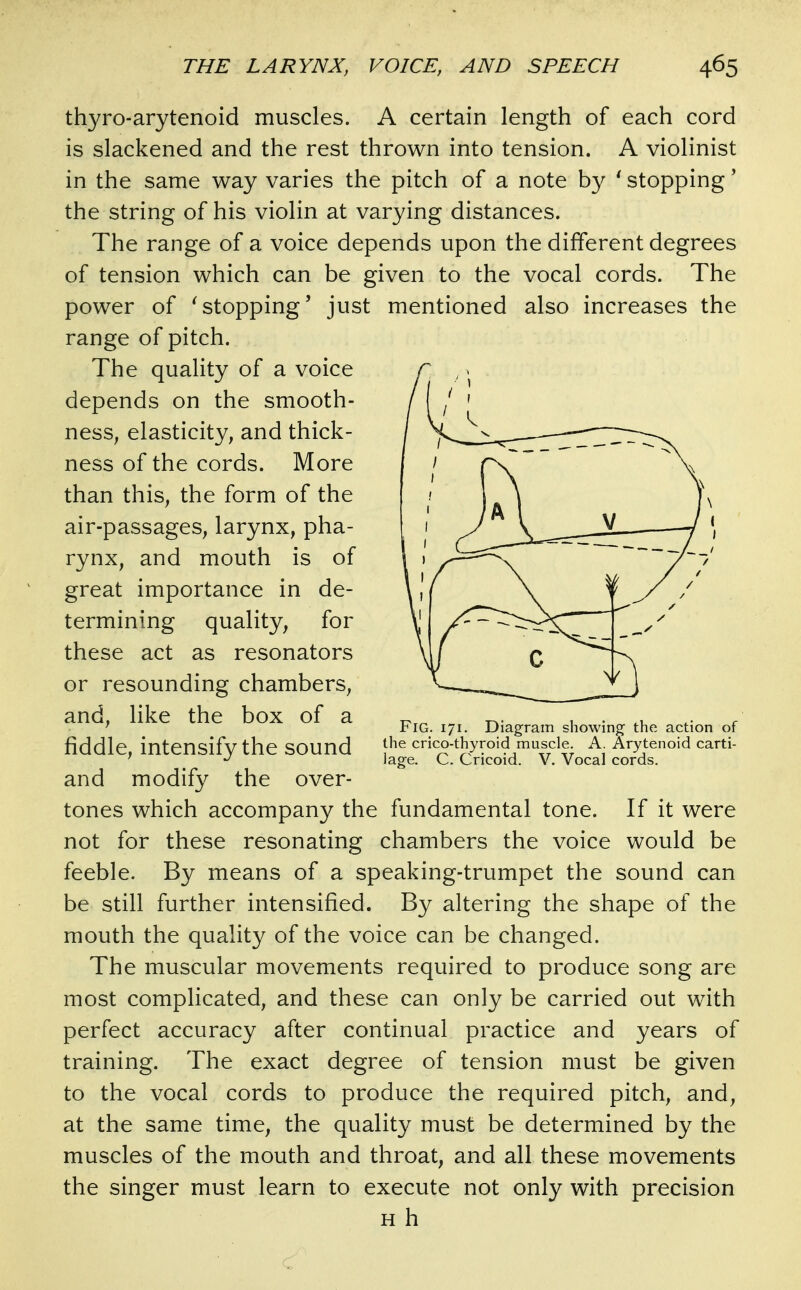 thyro-arytenoid muscles. A certain length of each cord is slackened and the rest thrown into tension. A violinist in the same way varies the pitch of a note by ' stopping' the string of his violin at varying distances. The range of a voice depends upon the different degrees of tension which can be given to the vocal cords. The power of ^stopping' just mentioned also increases the range of pitch. The quality of a voice depends on the smooth- ness, elasticity, and thick- ness of the cords. More than this, the form of the air-passages, larynx, pha- rynx, and mouth is of great importance in de- termining quality, for these act as resonators or resounding chambers, and, like the box of a fiddle, intensify the sound and modify the over- tones which accompany the fundamental tone. If it were not for these resonating chambers the voice would be feeble. By means of a speaking-trumpet the sound can be still further intensified. By altering the shape of the mouth the quality of the voice can be changed. The muscular movements required to produce song are most complicated, and these can only be carried out with perfect accuracy after continual practice and years of training. The exact degree of tension must be given to the vocal cords to produce the required pitch, and, at the same time, the quality must be determined by the muscles of the mouth and throat, and all these movements the singer must learn to execute not only with precision H h Fig. 171. Diagram showing the action of the crico-thyroid muscle. A. Arytenoid carti- lage. C. Cricoid. V. Vocal cords.