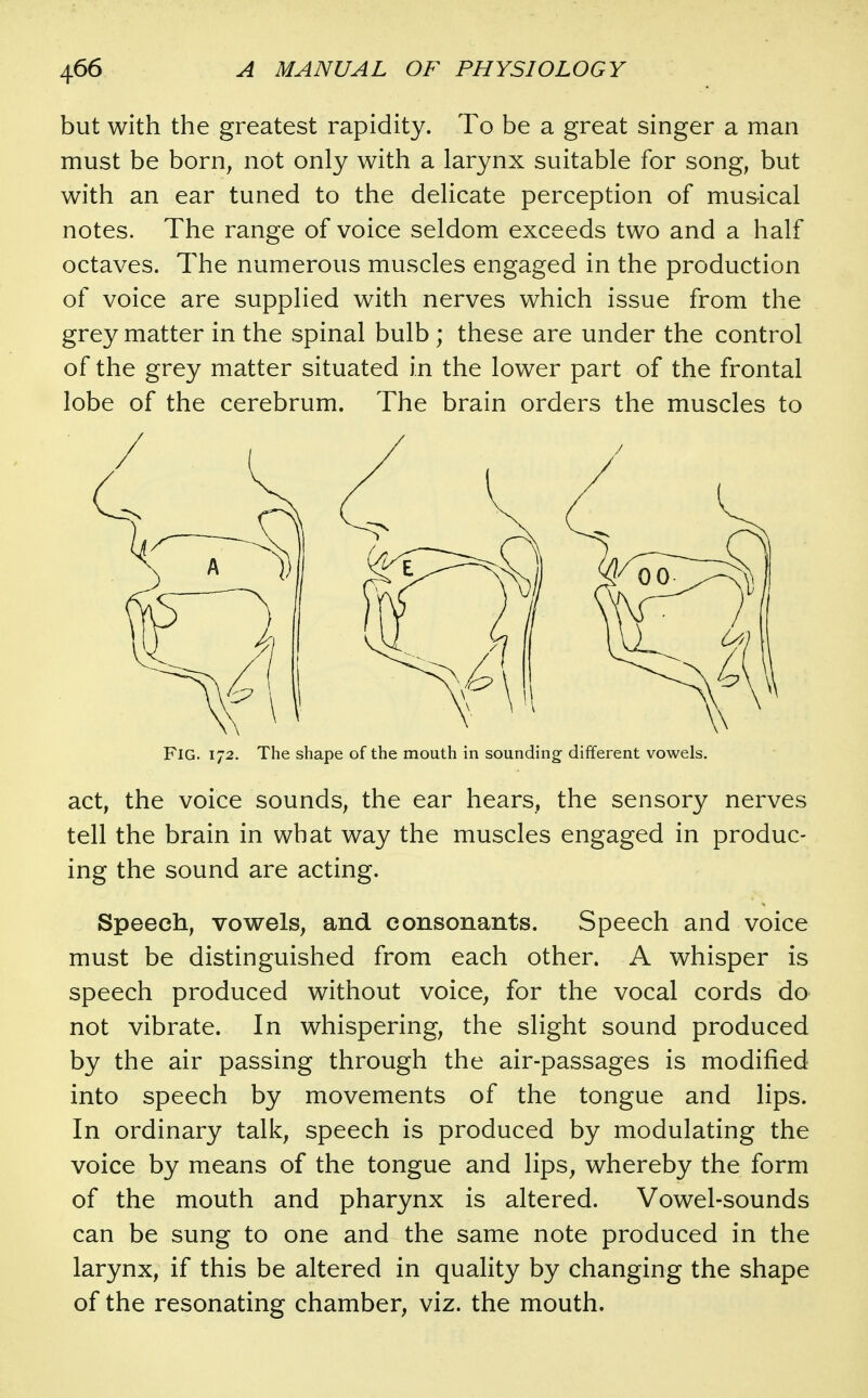but with the greatest rapidity. To be a great singer a man must be born, not only with a larynx suitable for song, but with an ear tuned to the delicate perception of musical notes. The range of voice seldom exceeds two and a half octaves. The numerous muscles engaged in the production of voice are supplied with nerves which issue from the grey matter in the spinal bulb ; these are under the control of the grey matter situated in the lower part of the frontal lobe of the cerebrum. The brain orders the muscles to Fig. 172. The shape of the mouth in sounding different vowels. act, the voice sounds, the ear hears, the sensory nerves tell the brain in what way the muscles engaged in produc- ing the sound are acting. Speech, vowels, and consonants. Speech and voice must be distinguished from each other. A whisper is speech produced without voice, for the vocal cords do not vibrate. In whispering, the slight sound produced by the air passing through the air-passages is modified into speech by movements of the tongue and lips. In ordinary talk, speech is produced by modulating the voice by means of the tongue and lips, whereby the form of the mouth and pharynx is altered. Vowel-sounds can be sung to one and the same note produced in the larynx, if this be altered in quality by changing the shape of the resonating chamber, viz. the mouth.