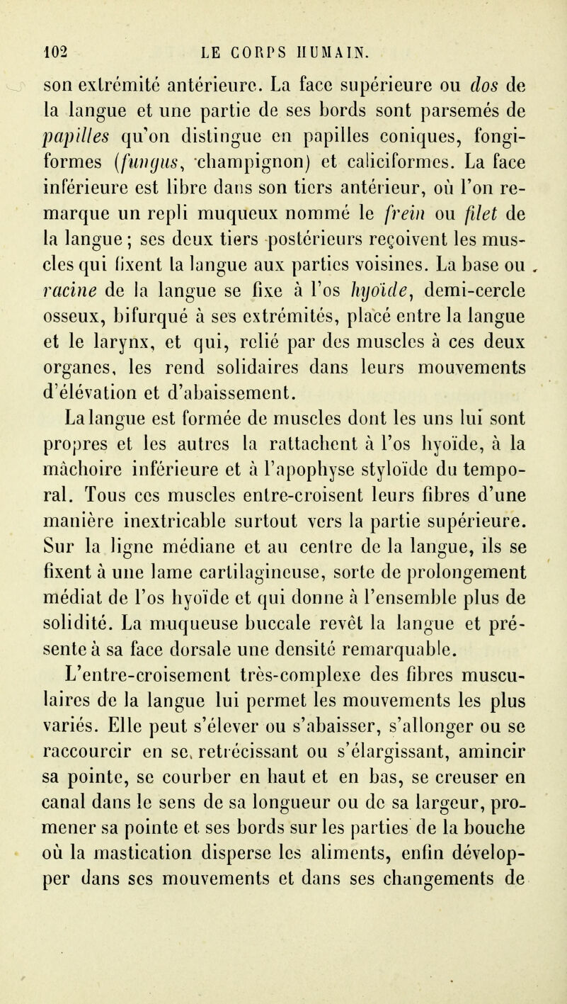 son extrémité antérieure. La face supérieure ou dos de la langue et une partie de ses bords sont parsemés de papilles qu'on distingue en papilles coniques, fongi- formes [fiuujus, champignon) et caliciformes. La face inférieure est libre dans son tiers antérieur, où l'on re- marque un repli muqueux nommé le frein ou filet de la langue ; ses deux tiers postérieurs reçoivent les mus- cles qui fixent la langue aux parties voisines. La base ou racine de la langue se fixe à l'os hyoidej demi-cercle osseux, bifurqué à ses extrémités, placé entre la langue et le larynx, et qui, relié par des muscles à ces deux organes, les rend solidaires dans leurs mouvements d'élévation et d'abaissement. La langue est formée de muscles dont les uns lui sont propres et les autres la rattachent à l'os hyoïde, à la mâchoire inférieure et à l'apophyse styloïde du tempo- ral. Tous ces muscles entre-croisent leurs fibres d'une manière inextricable surtout vers la partie supérieure. Sur la ligne médiane et au centre de la langue, ils se fixent à une lame cartilagineuse, sorte de prolongement médiat de l'os hyoïde et qui donne à l'ensemble plus de solidité. La muqueuse buccale revêt la langue et pré- sente à sa face dorsale une densité remarquable. L'entre-croisement très-complexe des fibres muscu- laires de la langue lui permet les mouvements les plus variés. Elle peut s'élever ou s'abaisser, s'allonger ou se raccourcir en se. rétrécissant ou s'élargissant, amincir sa pointe, se courber en haut et en bas, se creuser en canal dans le sens de sa longueur ou de sa largeur, pro- mener sa pointe et ses bords sur les parties de la bouche où la mastication disperse les aliments, enfin dévelop- per dans ses mouvements et dans ses changements de