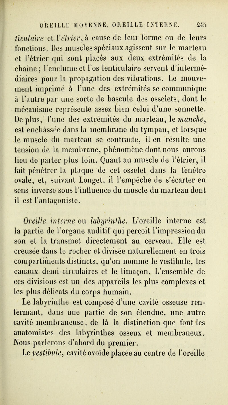 ticulaire et Yétrier^k cause de leur forme ou de leurs fonctions. Des muscles spéciaux agissent sur le marteau et rétrier qui sont placés aux deux extrémités de la chaîne; l'enclume et l'os lenticulaire servent d'intermé- diaires pour la propagation des vibrations. Le mouve- ment imprimé à Tune des extrémités se communique à l'autre par une sorte de bascule des osselets, dont le mécanisme représente assez bien celui d'une sonnette. De plus, l'une des extrémités du marteau, le manche^ est enchâssée dans la membrane du tympan, et lorsque le muscle du marteau se contracte, il en résulte une tension de la membrane, phénomène dont nous aurons lieu de parler plus loin. Quant au muscle de l'étrier, il fait pénétrer la plaque de cet osselet dans la fenêtre ovale, et, suivant Longet, il l'empêche de s'écarter en sens inverse sous l'intluence du muscle du marteau dont il est Fanlagoniste. Oreille interne ou labyrinlhe. L'oreille interne est la partie de l'organe auditif qui perçoit l'impression du son et la transmet directement au cerveau. Elle est creusée dans le rocher et divisée naturellement en trois compartiments distincts, qu'on nomme le vestibule, les canaux demi-circulaires et le limaçon. L'ensemble de ces divisions est un des appareils les plus complexes et les plus délicats du corps humain. Le labyrinthe est composé d'une cavité osseuse ren- fermant, dans une partie de son étendue, une autre cavité membraneuse, de là la distinction que font les anatomistes des labyrinthes osseux et membraneux. Nous parlerons d'abord du premier. Le vestibule y cavité ovoïde placée au centre de Toreille