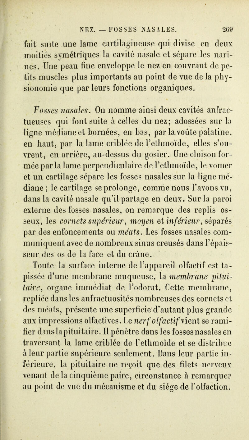 fait suite une lame cartilagineuse qui divise en deux moitiés symétriques la cavité nasale et sépare les nari- nes. Une peau fine enveloppe le nez en couvrant de pe- tits muscles plus importants au point de vue delà phy- sionomie que parleurs fonctions organiques. Fosses nasales. On nomme ainsi deux cavités an frac- tueuses qui font suite à celles du nez; adossées sur h ligne médiane et bornées, en bas, par la voûte palatine, en haut, par la lame criblée de Tethmoïde, elles s'ou- vrent, en arrière, au-dessus du gosier. Une cloison for- mée parla lame perpendiculaire de Tethmoïde, le vomer et un cartilage sépare les fosses nasales sur la ligne mé- diane ; le cartilage se prolonge, comme nous l'avons vu, dans la cavité nasale qu'il partage en deux. Sur la paroi externe des fosses nasales, on remarque des replis os- seux, les cornets snpérieur, moyen et inférieur, séparés par des enfoncements ou 7néats. Les fosses nasales com- muniquent avec de nombreux sinus creusés dans l'épais- seur des os de la face et du crâne. Toute la surface interne de l'appareil olfactif est ta- pissée d'une membrane muqueuse, la membrane pitui- taire, organe immédiat de l'odorat. Cette membrane, repliée dans les anfractuosités nombreuses des cornets et des méats, présente une superficie d'autant plus grande aux impressions olfactives. Le nerf olfactif vient se rami- fier danslapituitaire. Il pénètre dans les fosses nasales en traversant la lame criblée de l'ethmoïde et se distribue à leur partie supérieure seulement. Dans leur partie in- férieure, la pituitaire ne reçoit que des filets nerveux venant delà cinquième paire, circonstance à remarquer au point de vue du mécanisme et du siège de l'olfaction.