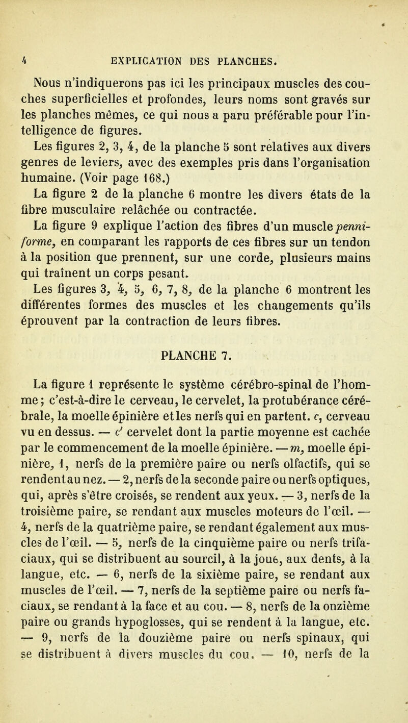 Nous n'indiquerons pas ici les principaux muscles des cou- ches superficielles et profondes, leurs noms sont gravés sur les planches mêmes, ce qui nous a paru préférable pour l'in- telligence de figures. Les figures 2, 3, 4, de la planche 5 sont relatives aux divers genres de leviers, avec des exemples pris dans l'organisation humaine. (Voir page 168.) La figure 2 de la planche 6 montre les divers états de la fibre musculaire relâchée ou contractée. La figure 9 explique l'action des fibres d'un mmclepenni- forme, en comparant les rapports de ces fibres sur un tendon à la position que prennent, sur une corde, plusieurs mains qui traînent un corps pesant. Les figures 3, '4, 5, 6, 7, 8, de la planche 6 montrent les différentes formes des muscles et les changements qu'ils éprouvent par la contraction de leurs fibres. PLANCHE 7. La figure 1 représente le système cérébro-spinal de l'hom- me ; c'est-à-dire le cerveau, le cervelet, la protubérance céré- brale, la moelle épinière et les nerfs qui en partent, c, cerveau vu en dessus. — c' cervelet dont la partie moyenne est cachée par le commencement de la moelle épinière. —wî, moelle épi- nière, 4, nerfs de la première paire ou nerfs olfactifs, qui se rendenlau nez. — 2, nerfs de la seconde paire ou nerfs optiques, qui, après s'être croisés, se rendent aux yeux. — 3, nerfs de la troisième paire, se rendant aux muscles moteurs de l'œil. — 4, nerfs de la quatrième paire, se rendant également aux mus- cles de l'œil. — 5, nerfs de la cinquième paire ou nerfs trifa- ciaux, qui se distribuent au sourcil, à la joub, aux dents, à la langue, etc. — 6, nerfs de la sixième paire, se rendant aux muscles de l'œil. — 7, nerfs de la septième paire ou nerfs fa- ciaux, se rendant à la face et au cou. — 8, nerfs de la onzième paire ou grands hypoglosses, qui se rendent à la langue, etc. 9, nerfs de la douzième paire ou nerfs spinaux, qui se distribuent à divers muscles du cou. — 10, nerfs de la