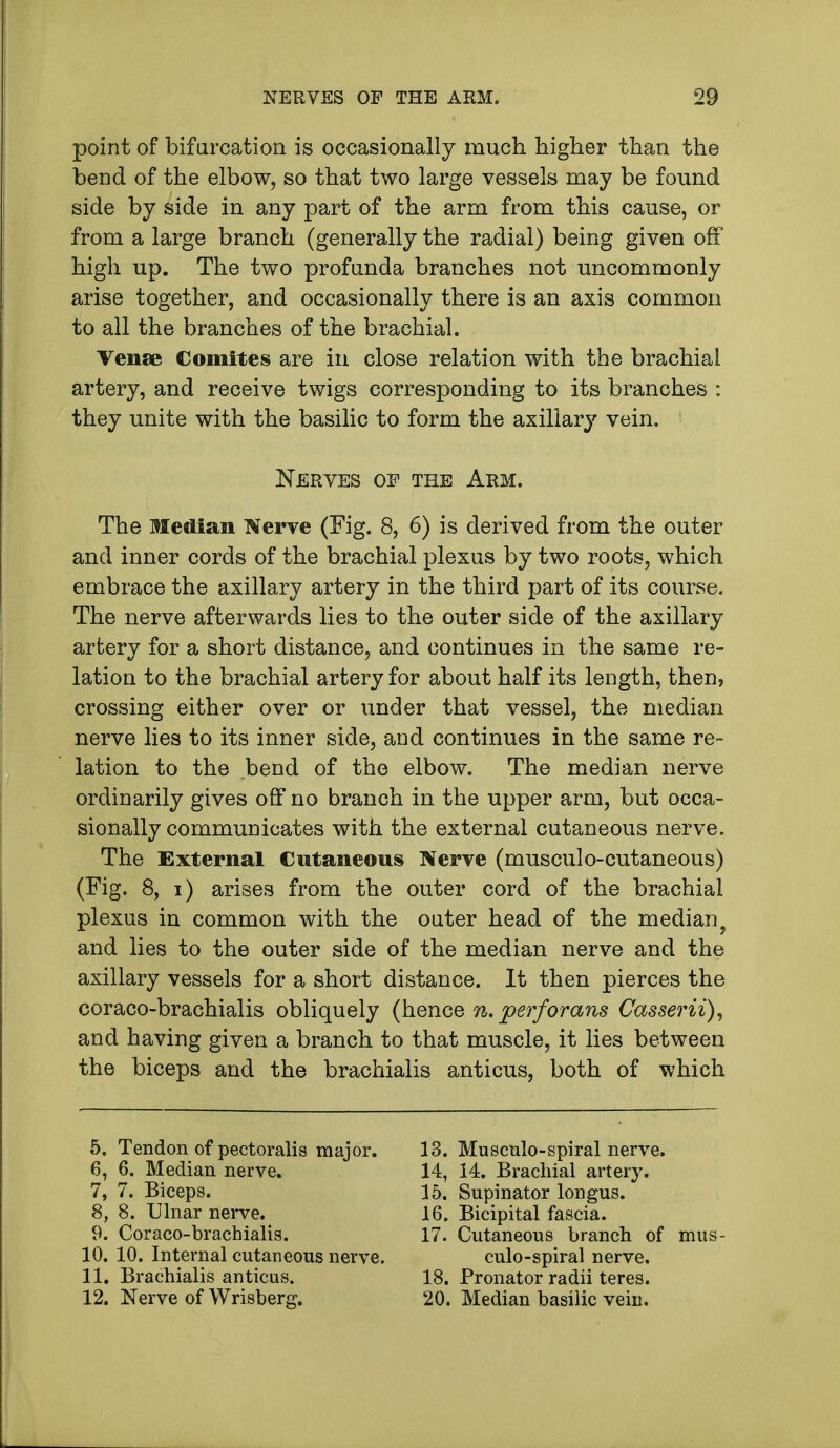 point of bifurcation is occasionally much higher than the bend of the elbow, so that two large vessels may be found side by side in any part of the arm from this cause, or from a large branch (generally the radial) being given off high up. The two profunda branches not uncommonly arise together, and occasionally there is an axis common to all the branches of the brachial. Venae Co mites are in close relation with the brachial artery, and receive twigs corresponding to its branches : they unite with the basilic to form the axillary vein. Nerves oe the Arm. The Median Nerve (Fig. 8, 6) is derived from the outer and inner cords of the brachial plexus by two roots, which embrace the axillary artery in the third part of its course. The nerve afterwards lies to the outer side of the axillary arfcery for a short distance, and continues in the same re- lation to the brachial artery for about half its length, then, crossing either over or under that vessel, the median nerve lies to its inner side, and continues in the same re- lation to the bend of the elbow. The median nerve ordinarily gives off no branch in the upper arm, but occa- sionally communicates with the external cutaneous nerve. The External Cutaneous Nerve (musculo-cutaneous) (Fig. 8, i) arises from the outer cord of the brachial plexus in common with the outer head of the median? and lies to the outer side of the median nerve and the axillary vessels for a short distance. It then pierces the coraco-brachialis obliquely (hence n. perforans Casserii), and having given a branch to that muscle, it lies between the biceps and the brachialis anticus, both of which 5, Tendon of pectoralis major. 6, 6. Median nerve. 7, 7. Biceps. 8, 8. Ulnar nerve. 9, Coraco-brachialis. 10. 10. Internal cutaneous nerve. 11. Brachialis anticus. 12. Nerve of Wrisberg. 13. Musculo-spiral nerve. 14. 14. Brachial artery. 15. Supinator longus. 16. Bicipital fascia. 17. Cutaneous branch of mus- culo-spiral nerve. 18. Pronator radii teres. 20. Median basilic vein.