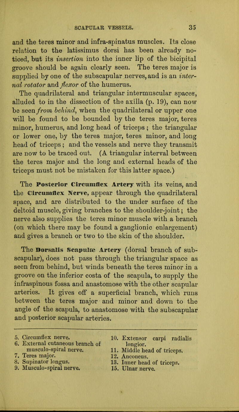 and the teres minor and infra-spinatus muscles. Its close relation to the latissimus dorsi has been already no- ticed, but its insertion into the inner lip of the bicipital groove should be again clearly seen. The teres major is supplied by one of the subscapular nerves, and is an inter- nal rotator and flexor of the humerus. The quadrilateral and triangular intermuscular spaces, alluded to in the dissection of the axilla (p. 19), can now be seen from behind, when the quadrilateral or upper one will be found to be bounded by the teres major, teres minor, humerus, and long head of triceps ; the triangular or lower one, by the teres major, teres minor, and long head of triceps ; and the vessels and nerve they transmit are now to be traced out. (A triangular interval between the teres major and the long and external heads of the triceps must not be mistaken for this latter space.) The Posterior Circumflex Artery with its veins, and the Circumflex TCerve, appear through the quadrilateral space, and are distributed to the under surface of the deltoid muscle,giving branches to the shoulder-joint; the nerve also supplies the teres minor muscle with a branch (on which there may be found a ganglionic enlargement) and gives a branch or two to the skin of the shoulder. The Dorsalis Scapulae Artery (dorsal branch of sub- scapular), does not pass through the triangular space as seen from behind, but winds beneath the teres minor in a groove on the inferior costa of the scapula, to supply the infraspinous fossa and anastomose with the other scapular arteries. It gives off a superficial branch, which runs between the teres major and minor and down to the angle of the scapula, to anastomose with the subscapular and posterior scapular arteries. 5. Circumflex nerve. 6. External cutaneous branch of musculo-spiral nerve. 7. Teres major. 8. Supinator longus. 9. Musculo-spiral nerve. 10. Extensor carpi radialis longior. 11. Middle head of triceps. 12. Anconeus. 13. Inner head of triceps. 15. Ulnar nerve.