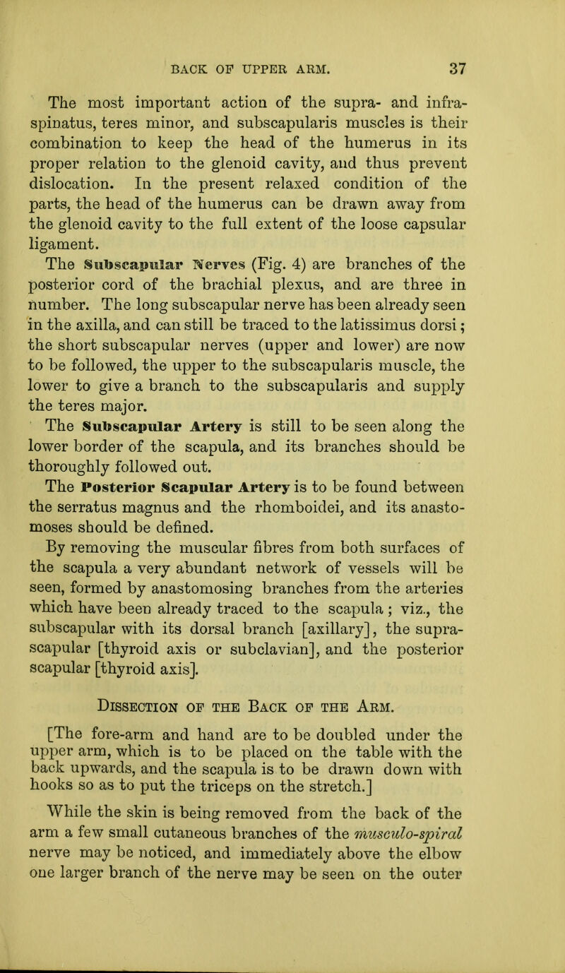 The most important action of the supra- and infra- spinatus, teres minor, and subscapularis muscles is their combination to keep the head of the humerus in its proper relation to the glenoid cavity, and thus prevent dislocation. In the present relaxed condition of the parts, the head of the humerus can be drawn away from the glenoid cavity to the full extent of the loose capsular ligament. The Subscapular Serves (Fig. 4) are branches of the posterior cord of the brachial plexus, and are three in number. The long subscapular nerve has been already seen in the axilla, and can still be traced to the latissimus dorsi; the short subscapular nerves (upper and lower) are now to be followed, the upper to the subscapularis muscle, the lower to give a branch to the subscapularis and supply the teres major. The Subscapular Artery is still to be seen along the lower border of the scapula, and its branches should be thoroughly followed out. The Posterior Scapular Artery is to be found between the serratus magnus and the rhomboidei, and its anasto- moses should be denned. By removing the muscular fibres from both surfaces of the scapula a very abundant network of vessels will be seen, formed by anastomosing branches from the arteries which have been already traced to the scapula ; viz., the subscapular with its dorsal branch [axillary], the supra- scapular [thyroid axis or subclavian], and the posterior scapular [thyroid axis]. Dissection of the Back of the Arm. [The fore-arm and hand are to be doubled under the upper arm, which is to be placed on the table with the back upwards, and the scapula is to be drawn down with hooks so as to put the triceps on the stretch.] While the skin is being removed from the back of the arm a few small cutaneous branches of the musculo-spiral nerve may be noticed, and immediately above the elbow one larger branch of the nerve may be seen on the outer