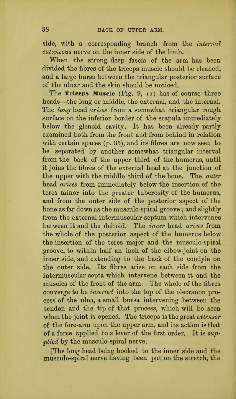 side, with a corresponding branch, from the internal cutaneous nerve on the inner side of the limb. When the strong deep fascia of the arm has been divided the fibres of the triceps muscle should be cleaned, and a large bursa between the triangular posterior surface of the ulnar and the skin should be noticed. The Triceps Muscle (Fig. 9, 11) has of course three heads—the long or middle, the external, and the internal. The long head arises from a somewhat triangular rough surface on the inferior border of the scapula immediately below the glenoid cavity. It has been already partly examined both from the front and from behind in relation with certain spaces (p. 35), and its fibres are now seen to be separated by another somewhat triangular interval from the back of the upper third of the humerus, until it joins the fibres of the external head at the junction of the upper with the middle third of the bone. The outer head arises from immediately below the insertion of the teres minor into the greater tuberosity of the humerus, and from the outer side of the posterior aspect of the bone as far down as the musculo-spiral groove; and slightly from the external intermuscular septum which intervenes between it and the deltoid. The inner head arises from the whole of the posterior aspect of the humerus below the insertion of the teres major and the musculo-spiral groove, to within half an inch of the elbow-joint on the inner side, and extending to the back of the condyle on the outer side. Its fibres arise on each side from the intermuscular septa which intervene between it and the muscles of the front of the arm. The whole of the fibres converge to be inserted into the top of the olecranon pro- cess of the ulna, a small bursa intervening between the tendon and the tip of that process, which will be seen when the joint is opened. The triceps is the great extensor of the fore-arm upon the upper arm, and its action is that of a force applied to a lever of the first order. It is sup- plied by the musculo-spiral nerve. [The long head being hooked to the inner side and the musculo-spiral nerve having been put on the stretch, the