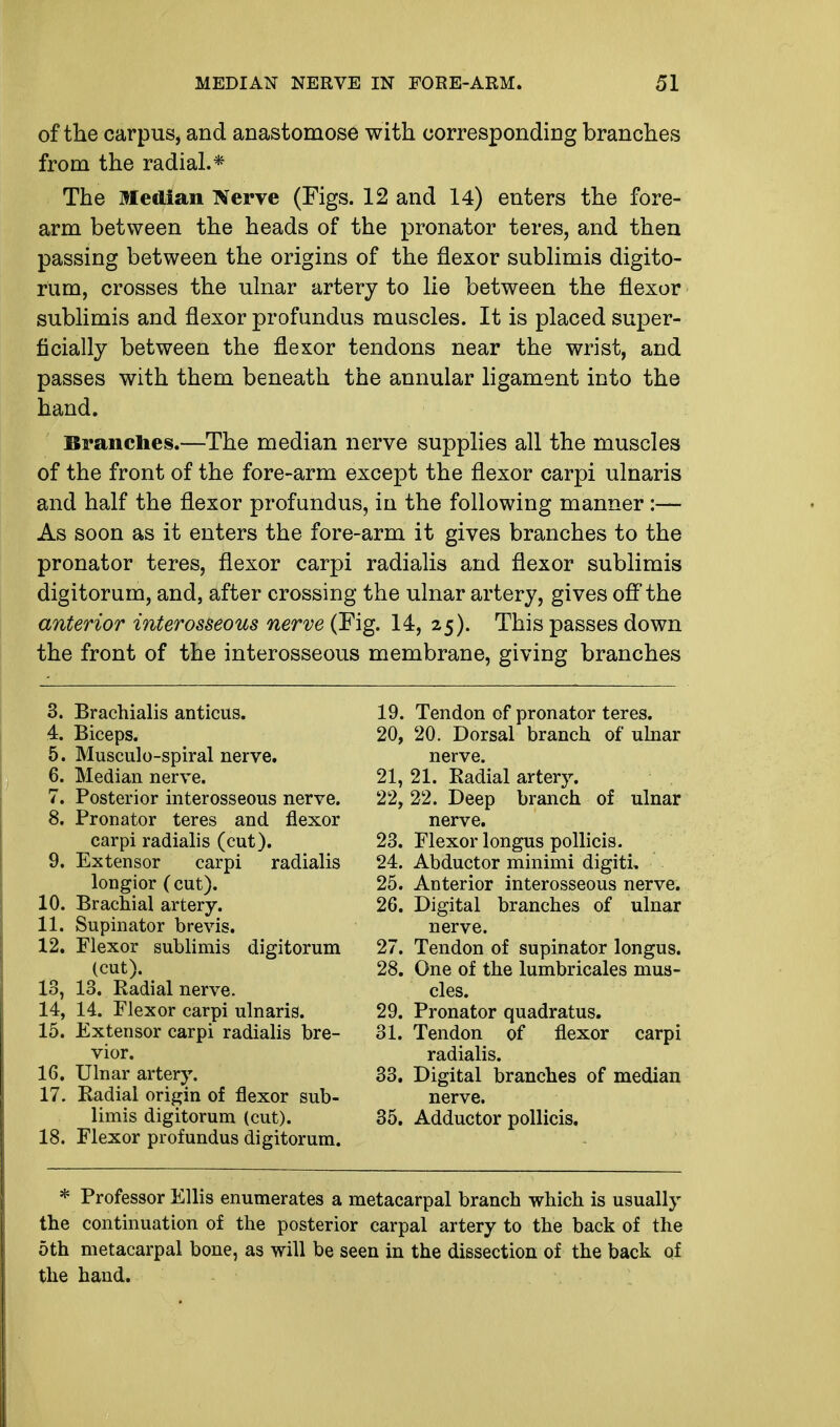 of the carpus, and anastomose with corresponding branches from the radial.* The Median Nerve (Figs. 12 and 14) enters the fore- arm between the heads of the pronator teres, and then passing between the origins of the flexor sublimis digito- rum, crosses the ulnar artery to lie between the flexor sublimis and flexor profundus muscles. It is placed super- ficially between the flexor tendons near the wrist, and passes with them beneath the annular ligament into the hand. Branches.—The median nerve supplies all the muscles of the front of the fore-arm except the flexor carpi ulnaris and half the flexor profundus, in the following manner :— As soon as it enters the fore-arm it gives branches to the pronator teres, flexor carpi radialis and flexor sublimis digitorum, and, after crossing the ulnar artery, gives off the anterior interosseous nerve (Fig. 14, 25). This passes down the front of the interosseous membrane, giving branches 3. Brachialis anticus. 4. Biceps. 5. Musculo-spiral nerve. 6. Median nerve. 7. Posterior interosseous nerve. 8. Pronator teres and flexor carpi radialis (cut). 9. Extensor carpi radialis longior (cut). 10. Brachial artery. 11. Supinator brevis. 12. Flexor sublimis digitorum (cut). 13. 13. Radial nerve. 14. 14. Flexor carpi ulnaris. 15. Extensor carpi radialis bre- vior. 16. Ulnar artery. 17. Radial origin of flexor sub- limis digitorum (cut). 18. Flexor profundus digitorum. 19. Tendon of pronator teres. 20. 20. Dorsal branch of ulnar nerve. 21. 21. Radial artery. 22. 22. Deep branch of ulnar nerve. 23. Flexor longus pollicis. 24. Abductor minimi digiti. 25. Anterior interosseous nerve. 26. Digital branches of ulnar nerve. 27. Tendon of supinator longus. 28. One of the lumbricales mus- cles. 29. Pronator quadratus. 31. Tendon of flexor carpi radialis. 33. Digital branches of median nerve. 35. Adductor pollicis. * Professor Ellis enumerates a metacarpal branch which is usually the continuation of the posterior carpal artery to the back of the 5th metacarpal bone, as will be seen in the dissection of the back of the hand.