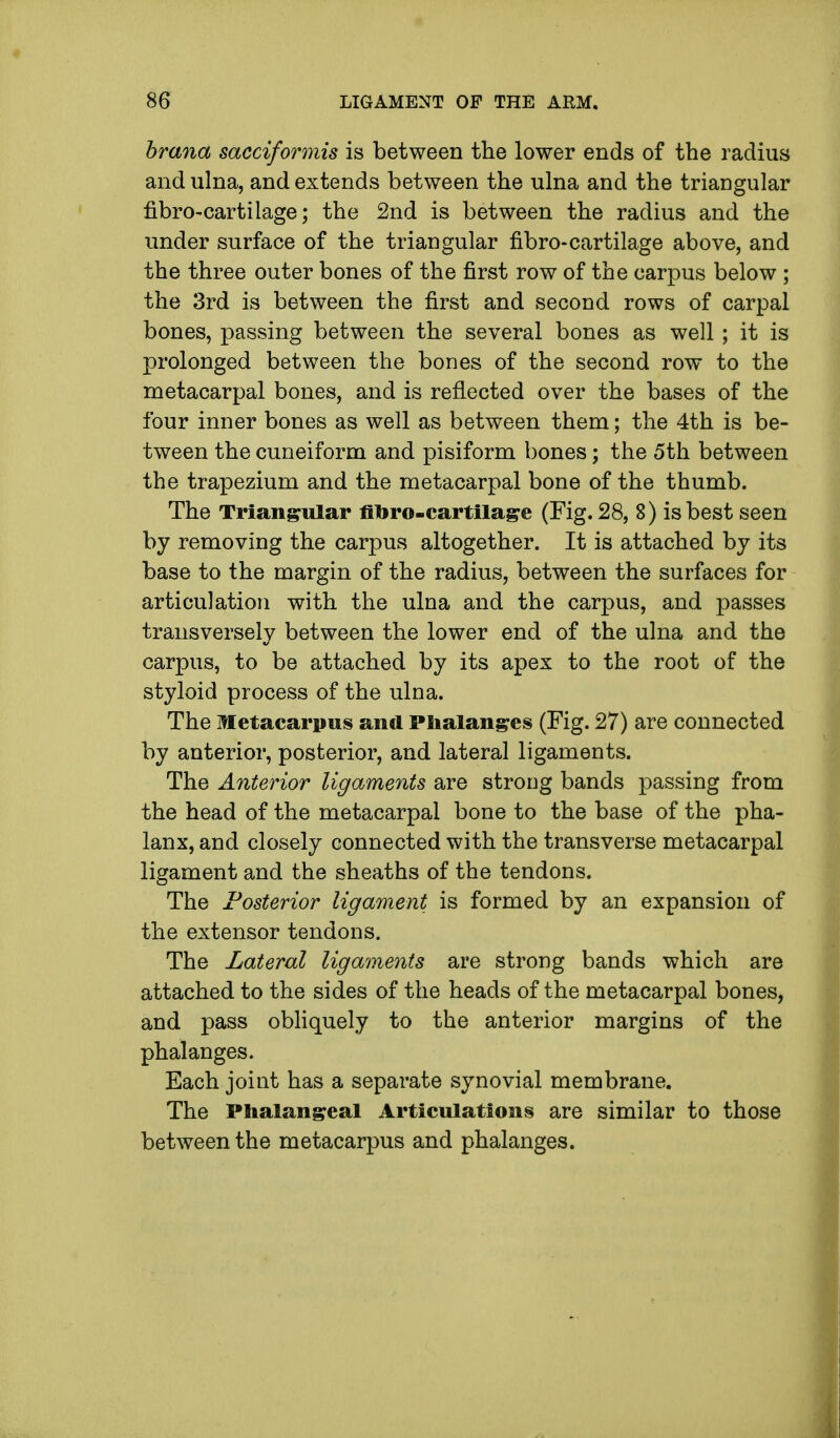 brana sacciformis is between the lower ends of the radius and ulna, and extends between the ulna and the triangular fibro-cartilage; the 2nd is between the radius and the under surface of the triangular fib ro-cartilage above, and the three outer bones of the first row of the carpus below ; the 3rd is between the first and second rows of carpal bones, passing between the several bones as well ; it is prolonged between the bones of the second row to the metacarpal bones, and is reflected over the bases of the four inner bones as well as between them; the 4th is be- tween the cuneiform and pisiform bones; the 5th between the trapezium and the metacarpal bone of the thumb. The Triangular fibro-cartilage (Fig. 28, 8) is best seen by removing the carpus altogether. It is attached by its base to the margin of the radius, between the surfaces for articulation with the ulna and the carpus, and passes transversely between the lower end of the ulna and the carpus, to be attached by its apex to the root of the styloid process of the ulna. The Metacarpus and Phalanges (Fig. 27) are connected by anterior, posterior, and lateral ligaments. The Anterior ligaments are strong bands passing from the head of the metacarpal bone to the base of the pha- lanx, and closely connected with the transverse metacarpal ligament and the sheaths of the tendons. The Posterior ligament is formed by an expansion of the extensor tendons. The Lateral ligaments are strong bands which are attached to the sides of the heads of the metacarpal bones, and pass obliquely to the anterior margins of the phalanges. Each joint has a separate synovial membrane. The Phalangeal Articulations are similar to those between the metacarpus and phalanges.