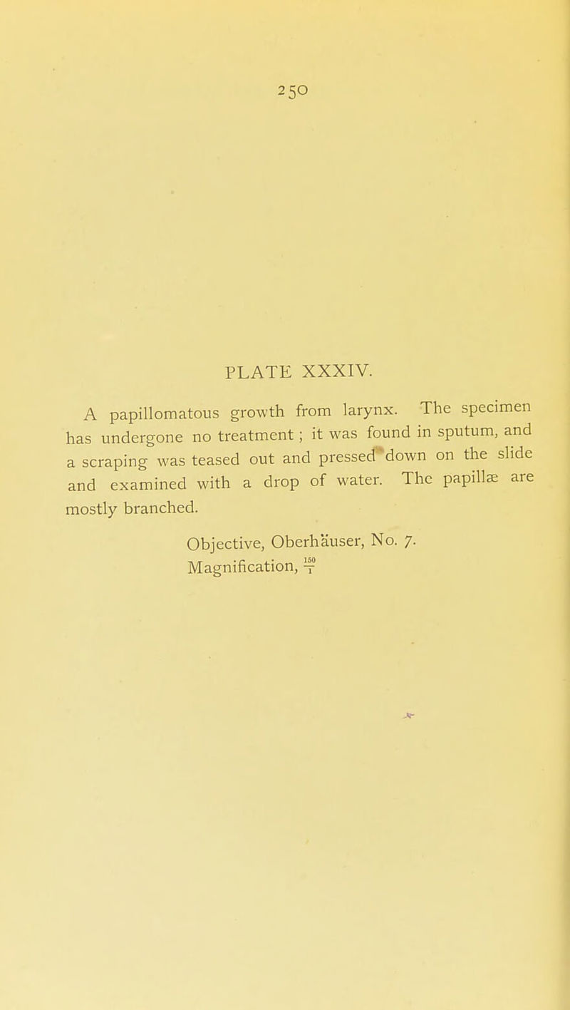 PLATE XXXIV. A papillomatous growth from larynx. The sped has undergone no treatment; it was found in sputum, a scraping was teased out and pressed*down on the ; and examined with a drop of water. The papilla; mostly branched. Objective, Oberhauser, No. 7. Magnification, ^