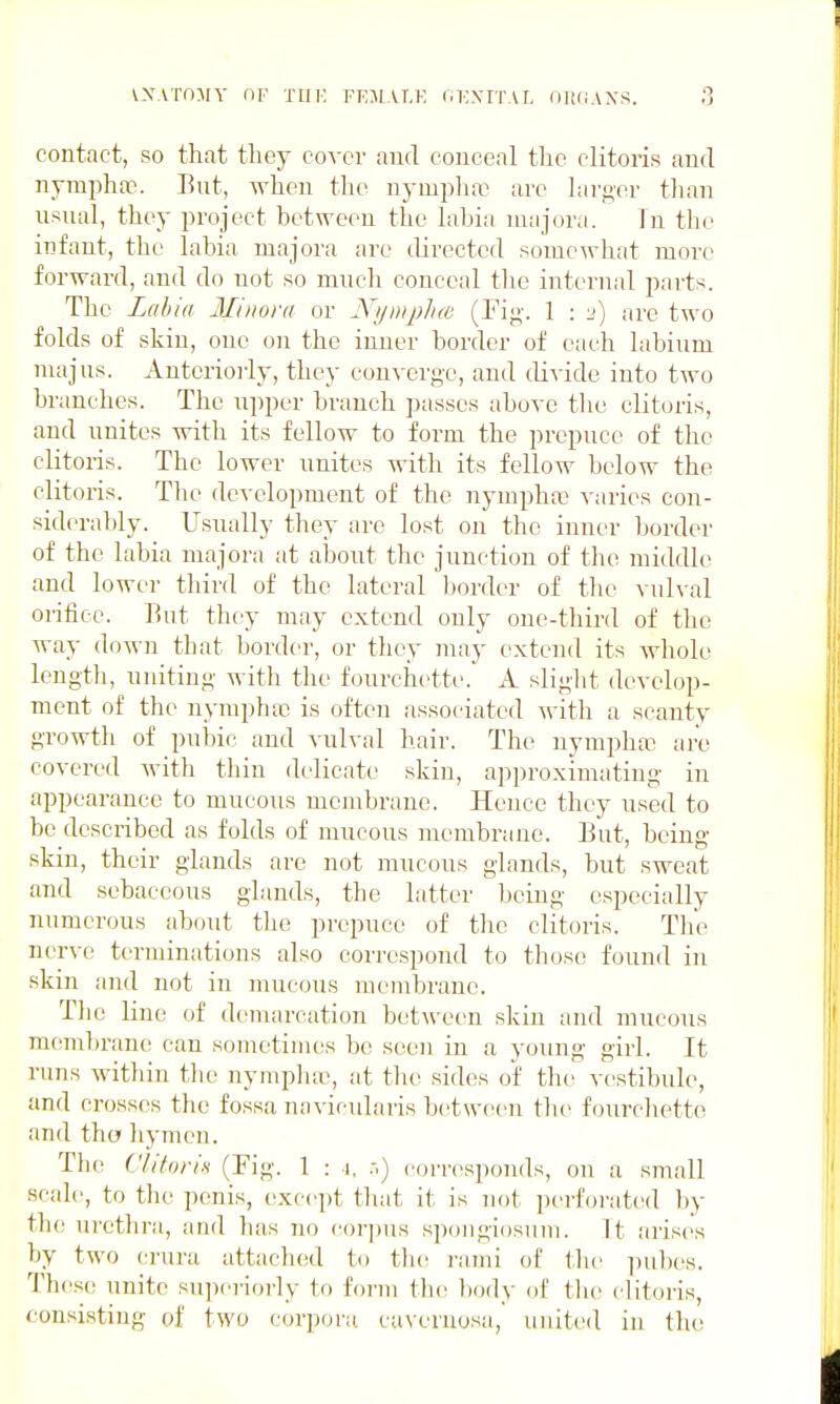 \\.vTn:\rY of TtiK femat.k rn^yrrAL otmians. contact, so that they coxqy and conceal the clitoris and nympha?. Eut, when the nymplur are lavgor than usual, they project between the labia majora. In the infant, the labia majora are directed somewhat more forward, and do not so mucli conceal tlic internal parts. The Zal)ia Minora or Nijmphai (Fig. 1 : 2) are two folds of skin, one ou the inner border of each labium majus. Antcrioi'ly, they converge, and divide into two branches. The upper branch passes above the clitoris, and unites with its fellow to form the prepuce of the clitoris. The lower unites with its fellow below the clitoris. The development of the nympha? varies con- siderably. Usually they are lost on the inner border of the labia majora at about the junction of the middle and lower third of the lateral border of tlu^ vulval orifice. Eut they may extend only one-third of the way down that border, or they may extend its whole lengtli, uniting with the fourchette. A slight develop- ment of the nympha^ is often associated with a scanty growth of pubic and vulval hair. The nyiupha? are covered with thin delicate skin, approximating in appearance to mucous membrane. Hence they used to be described as folds of raucous membrane. Eut, being skin, their glands are not mucous glands, but sweat and sebaceous glands, the latter being especially numerous about tlie prepuce of the clitoris. The ner^e terminations also correspond to those found in skin and not in mucous membrane. Tlie line of demarcation between skin and mucous mem])rane can sometimes be seen in a young girl. It runs within the nynipluu, at the sides of the vestibule, and crosses the fossa navicularis between the fourchette and tha hymen. The Vliforin (Fig. 1 : 1, ,-,) corresponds, ou a small scale, to the penis, (ixcept that it is not ]ierforated by the urethra, and lias no (•or])us spongiosum. It arises by two crura attaclunl to the i-ami of the pubes. These unite siqicriorly to foi-m tlu^ l)o(ly of the clitoris, consisting of two corpora cavernosa, united in tlie