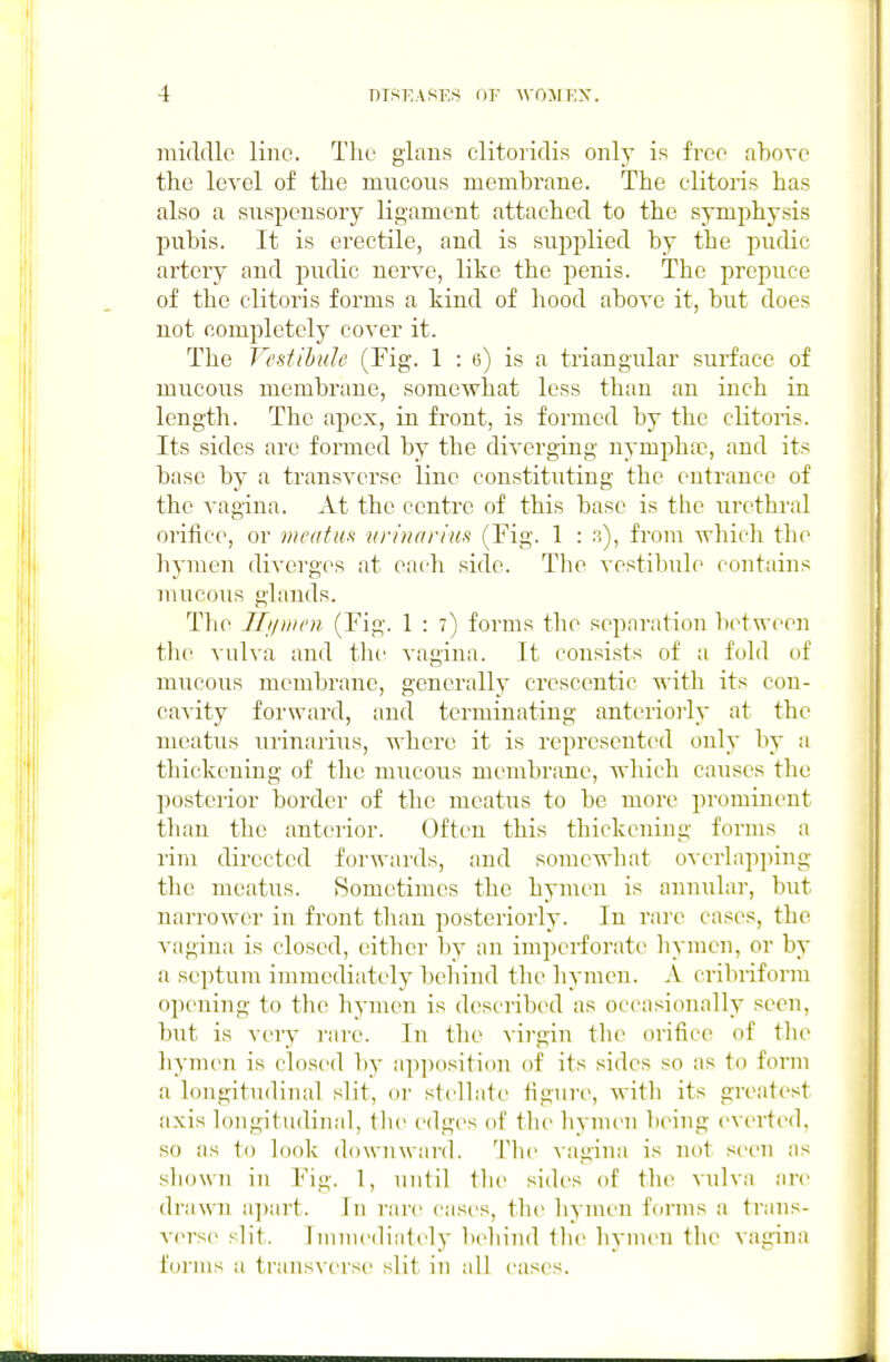 raidcUc line. The glans clitoridis only is free above the level of the mucous membrane. The clitoris has also a suspensory ligament attached to the symphysis pubis. It is erectile, and is supplied by the pudic artery and pudic nerve, like the penis. The prepuce of the clitoris forms a kind of hood above it, but does not completely cover it. The Vestibule (Fig. 1 : e) is a triangular surface of mucous membrane, somewhat less than an inch in length. The apex, in front, is formed by the clitoris. Its sides are formed by the diverging nymphte, and its base by a transverse line constituting the entrance of the vagina. At the centre of this base is the urethral orifice, or meatufi urinarhifi (Fig. 1 : ?.), from which the hymen diverges at each side. The vestibule contains mucous glands. The IIi/iiioi (Fig. 1 : 7) forms the separation b(>tw('cn tlie vulva and the vagina. It consists of a fold of mucous membrane, generally crescentic with its con- cavity forward, and terminating anteriorly at the meatus urinarius, where it is represented only by a thickening of tlie mucous membrane, which causes tlie posterior border of the meatus to be more prominent than the anterior. Often this thickening forms a rim directed forwards, and somewliat overlapiung the meatus. Sometimes the hymen is annular, but narrower in fi'ont than posteriorly. In rare cases, the vagina is closed, cither bv an imperforate hymen, or by a septum immediately beliind the hymen. A cribriform opening to the hymen is described as occasionally seen, but is very rare. In the virgin the orifice of the hymen is closed by apposition of its sides so as to form a longitudinal slit, or st(>llate figure, with its greatest axis longitudinal, the edges of the hymen being (>verted, so as to look downward. Tlu^ vagina is not seen as shown in Fig. 1, until the sides of the vulva are di'awn a])art. In rare cases, the liymen forms a trans- A'ei-se slit. Immediately behind the hynu'U the vagina forms a transverse slit in all cases.