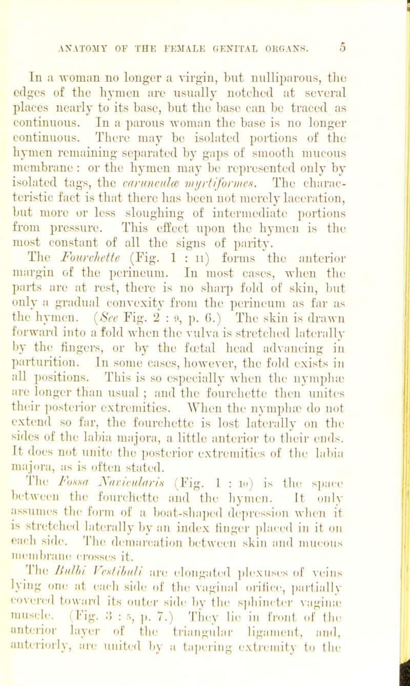 In a woman no longer a virgin, but uulliparous, tho edges of the hymen are usually notched at several places nearly to its base, but the base can be traced as continuous. In a parous woman the base is no longer continuous. There may be isolated portions of the hymen remaining separated by gaps of smooth mucous membrane : or the hymen may be represented only by isolated tags, the canmculo} myrtifoniws. The charac- teristic fact is that there has been not merely laceration, but more or less sloughing of intermediate portions from pressure. This effect upon the hymen is the most constant of all the signs of parity. The Fourehette (Fig. 1 : ii) forms the anterior margin of the perineum. In most cases, when tlu- parts are at rest, there is no sharp fold of skin, l)ut only a gradual convexity from the perineum as far as the hymen. {See Fig. 2 : 9, p. 6.) The skin is drawn forward into a fold Avhen the vulva is stretched laterally by the fingers, or by the foc-tal head advancing in parturition. In some cases, however, the fold exists in all positions. This is so especially when the nymplia) are longer than usual ; and the fourehette then unites their ]Kjsterior extremities. When the nymplux' do not extend so far, the fourehette is lost laterally on the sides of the labia majora, a little anterior to their ends. It does not unite tlie posterior extremities of tlie labia majora, as is often stated. The Fosxa Navicularifi (Fig. 1 : m) is the space between the fourehette and the liymen. It only assumes the form of a boat-slia])ed depression wlien it is stretched laterally ])y an index finger placed in it on each side, 'i'he demarcation between skin and mucous iiii'inl)raiie crosses it. The liiiJhi FrstibaJi are elongated jilexiises of veins lying on(; at each sich^ of the vaginal orifice, ])artially covered toward its enter side by the sphincter vagina Hiiiscl,.. I ['in-. ;• : .^^ p. 7.) 'pj,^,y li^, j,i „|' 111,, anterior layei- of the triangular liganumt, and, antcri(jrly, ai-e united by a tajieriug exti'cniity to the