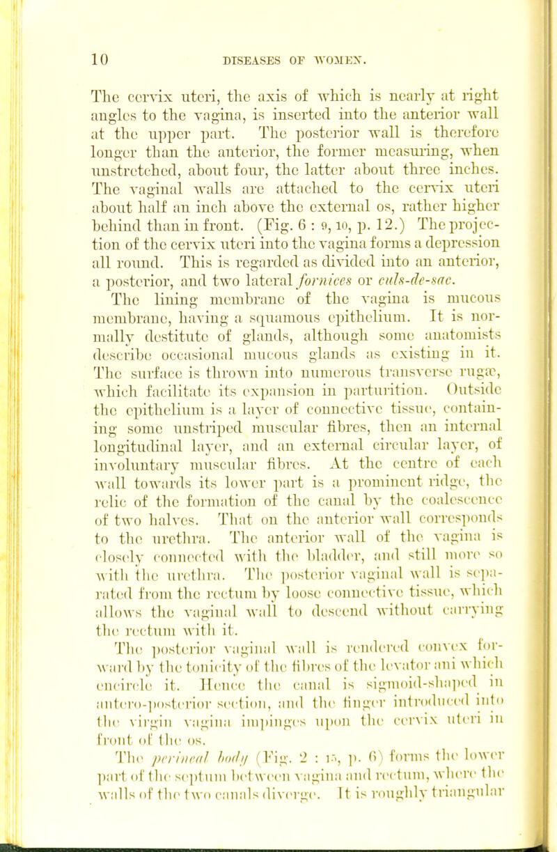 The cervix uteri, the axis of which is nearly at right angles to the vagina, is inserted into the anterior wall at the upper part. The posterior wall is therefore longer than the antei'ior, the former mcasm-iag, when nnstretched, ahont four, the latter ahont three inches. The vaginal Avails are attached to the cervix uteri about half an inch above the external os, rather higher behind than in front. (Fig. 6 : 9, lo, p. 12.) The projec- tion of the cervix uteri into the vagina forms a depression all roimd. This is regarded as divided into an anterior, a posterior, and two lateral foniices or culs-clc-sac. The lining membrane of the vagina is mucous membrane, having a squamous epithelium. It is nor- mally destitute of ghmds, although some anatomists describe occasional mucous glands as existing in it. The surface is thrown into numerous transverse rugxc, which facilitate its expansion in partuiition. Outside the epithelium is a layer of connective tis,suc, contain- ing some unstriped muscular fibres, then an internal longitudinal layer, and an external circular layer, of involuntary muscular fibres. At the centre of each wall towards its lower part is a prominent ridge, the relic of the formation of the canal by the coalescence of two halves. That on the anterior wall corresponds to the urethra. The anterior Avail of the vagina is closely connected wilii the bladder, and still uiore se AA-ith ithe urethra. Tlie posterior vaginal wall is sepa- rated from the rectum by loo,se connective tissue, Avhich alloAVS the vaginal Avail to descend Avithout carrying the rectum Avitli it. The posterior vagiiuil Avail is reudered convex fov- Avard by tlu' touicity of the fibres of the levator ani Avliich encircle it. Hence thv canal is sigmoid-sha])ed in aiit(T()-])()steri(>r section, and tlu' finger introdnced into the \irgin vagina inijiinges upon the cer\ix uteri m front of the os. Tlie perineal htxiii (l*'ig. 2 : i:^, ]). B) forms tlie lower part of tbe septnni l)et\veen vagina and rectum, Avhere the Avails of the two canals diverge. It is rougldy triangnlar