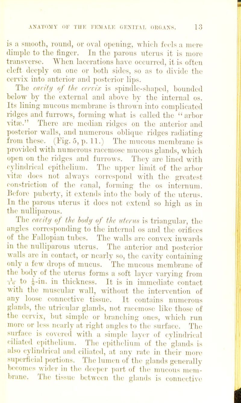 is a smooth, round, or oval opeuiug, -wliich feds a inove dimple to the finger. In the parous uterus it is more transverse. When lacerations have occurred, it is often cleft deeply on one or both sides, so as to divide the cervix into anterior and posterior lips. The carity of the cervix is spindle-shaped, bounded below by the external and above by the internal os. Its lining mucous membrane is thrown into complicated ridges and furrows, forming what is called the arbor vita?. There are median ridges on the anterior and posterior walls, and numerous oblique ridges radiating from these. (Fig. 5, p. 11.) The mucous membrane is provided with numerous racemose mucous glands, which open on the ridges and furroA\ s. Tlu'y are lined with cylindrical epithelium. The upper limit of the ar])or vita3 does not always correspond witli the greatest constriction of the canal, forming the os internum. ]{efore puberty, it extends into the body of the uterus. In the parous uterus it does not extend so high as in the nulliparous. The cacify of the body of the uteruH is triaugulai-, the angles corresponding to the internal os and the orifices of the Fallopian tubes. The walls are convex inwards in the nulliparous uterus. The anterior and posterior walls are in contact, or nearly so, the cavity containing only a few drops of mucus. The mucous membrane of the body of the uterus forms a soft layer varying from -i\r to i-in. in thickness. It is in immediate contact with the muscular wall, Avithout the intervention of any loose connective tissue. It contains numerous glands, the utricular glands, not racemose like those of the cer\ix, but simple or branching ones, which run more or less nearly at right angles to the surface. The surface is covered with a sim])le layer of cylindrical ciliated e])itlieliuiii. Tlu; epitlicliiiiii of tlie glands is also (cylindrical and ciliated, at any rate in their rnoiv su])erficial porti(jns. Tiie lumen of the glands generally becomes wider in (lie dcc])ci' ]»art ol' llie mucous mem- bnine. The tissui' between the glands is connective