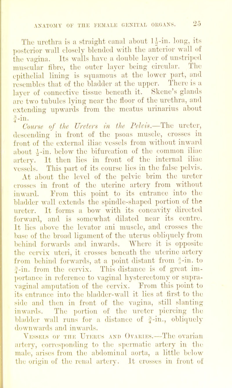 The lu-cthra is a straight canal about 1 i-iu. long, its X)ostonor -wall closely blended Avith tlie anterior Avail of the vagina. Its Avails have a double layer of unstri])ed muscular fibre, the outer layer being circular. Tlie epithelial lining is squamous at the loAver part, and resembles that of the bladder at the upper. There is u layer of connective tissue beneath it. Skene's glands arc tAVO tubules lying near the floor of the urethra, and extending upAvards from the meatus urinarius about i^-in. Course of tite Ureters in the Pelvis.—The ureter, descending in front of the psoas muscle, crosses in front of the external iliac vessels from Avithout iuAvanl about l-iu. beloAV the bifurcation of the common iliac artery. It then lies in front of the internal iliac vessels. This part of its course lies in the false pehds. At about the IcAxd of the pelvic brim the ureter crosses in front of the uterine artery from Avithout iuAvard. Prom this point to its entrance into the bladder Avail extends the spindle-shaped portion of the ureter. It forms a bow Avitli its concavity directed forAvard, and is somewhat dilated near its centre. It lies above the levator ani muscle, and crosses the base of the broad ligament of the uterus oblicpiely from behind forwards and inwards. Where it is opposite the cervix uteri, it crosses beneath the uterine arteiy from behind forwards, at a point distant from ■-in. to ;;^--in. from the cervix. This distance is of great im- portance in reference to vaginal hysterectomy or supra- vaginal amputation of the cervix. From this point to its enti'ancc! into the bladder-wall it lies at first to the side and then in fr(»nt of the vagina, still slanting inwards. Tlu; portion of the ureter i)iercing the bladder Avail runs foi- a distance of i'-in., obli(|uely dowTiAvards and inwards. A'^KssKi.s OF THK Utkkus AND OvAKiKS.—Tlu'ovarlan artcsry, corr(!sponding to tlie sjx'nnatic artery in tlu' male, arises from tlie abdominal aorta, a little beloAV the origin of the renal artery. Jt crosses in front of