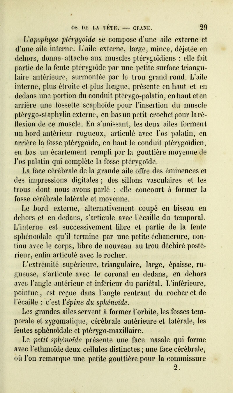 Vapophyse ptérygoïde se compose d'une aile externe et d'une aile interne. L'aile externe, large, mince, dèjetée on dehors, donne attache aux muscles ptérygoïdiens : elle fait partie de la fente ptérygoïde par une petite surface triangu- laire antérieure, surmontée par le trou grand rond. L'aile interne, plus étrohe et plus longue, présente en haut et en dedans une portion du conduit ptérygo-palatin, en haut et en arrière une fossette scaphoïde pour l'insertion du muscle ptérygo-slaphyhn externe, en bas un petit crochet pour la ré- flexion de ce muscle. En s'unissant, les deux ailes forment un bord antérieur rugueux, articulé avec Los palatin, en arrière la fosse ptérygoïde, en haut le conduit ptérygoïdien, en bas un écartement rempli par la gouttière moyenne de l'os palatin qui complète la fosse ptérygoïde. La face cérébrale de la grande aile offre des éminences et des impressions digitales ; des sillons vasculaires et les trous dont nous avons parlé : elle concourt à former la fosse cérébrale latérale et moyenne. Le bord externe, aUernativement coupé en biseau en dehors et en dedans, s'articule avec l'écaillé du temporal. L'interne est successivement libre et partie de la fente sphénoïdale qu'il termine par une petite échancrure, con- tinu avec le corps, libre de nouveau au trou déchiré posté- rieur, enfin articulé avec le rocher. L'extrémité supérieure, triangulaire, large, épaisse, ru- gueuse, s'articule avec le coronal en dedans, en dehors avec l'angle antérieur et inférieur du pariétal. L'inférieure, pointue, est reçue dans l'angle rentrant du rocher et de l'écaillé : c'est Y épine du sphénoïde. Les grandes ailes servent à former l'orbite, les fosses tem- porale et zygomatique, cérébrale antérieure et latérale, les fentes sphénoïdale et ptérygo-maxillaire. Le petit sphénoïde présente une face nasale qui forme avec l'ethmoïde deux cellules distinctes ; une face cérébrale, où Ton remarque une petite gouttière pour la commissure 2.