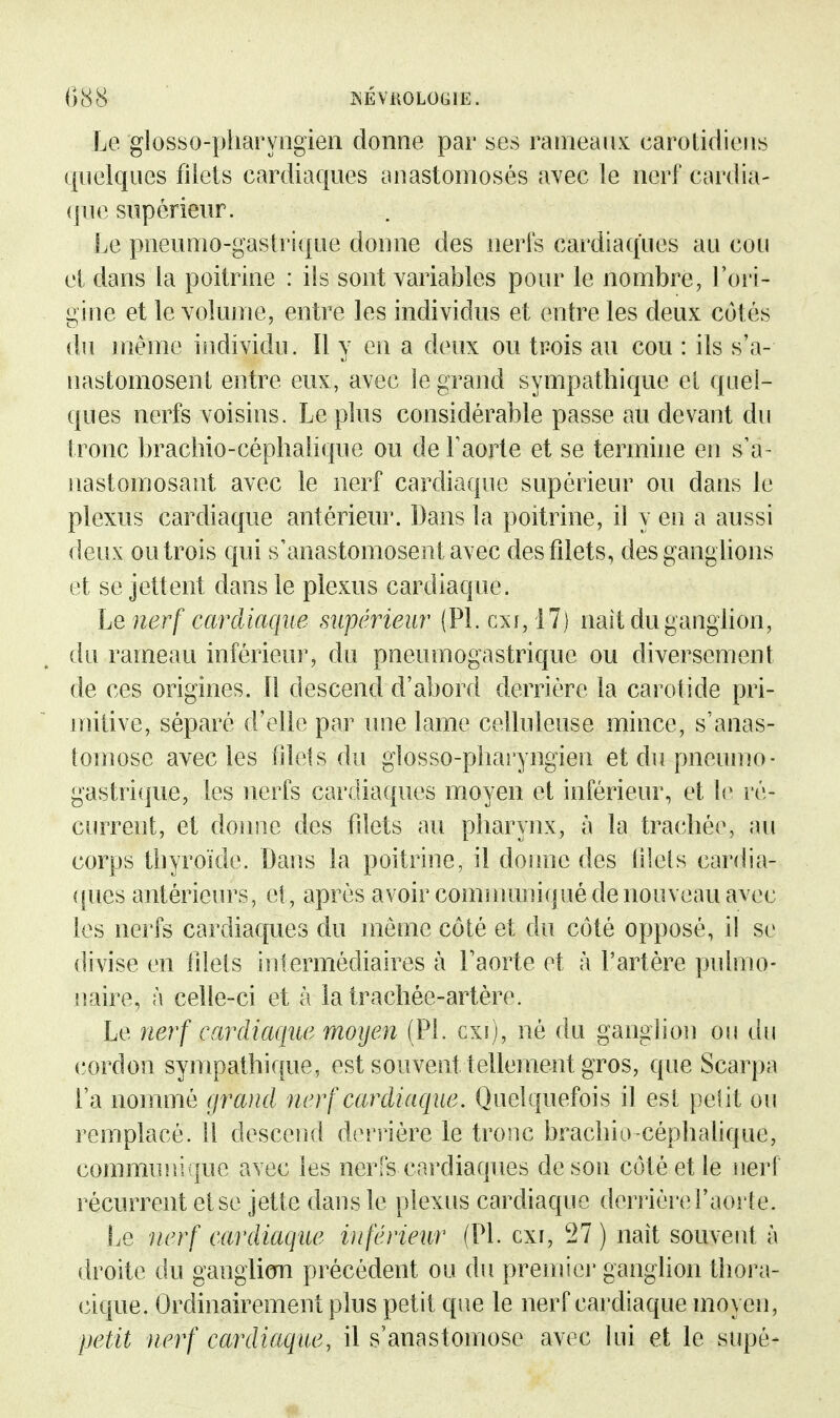 Le glosso-pliaryngien donne par ses rameaux carolidieiis quelques filets cardiaques anastomosés avec le nerf cardia- ([ue supérieur. Le pneumo-gastri(|ue donne des nerfs cardiaques au cou et dans la poitrine : ils sont variables pour le nombre, l'ori- gine et le volume, entre les individus et entre les deux cotés du même individu. îl y en a deux ou trois au cou : ils s'a- nastomosent entre eux, avec le grand sympathique e[ quel- ques nerfs voisins. Le plus considérable passe au devant du tronc brachio-céphalique ou de Faorte et se termine en s'a- nastomosant avec le nerf cardiaque supérieur ou dans le plexus cardiaque antérieur. Dans la poitrine, il y en a aussi deux ou trois qui s'anastomosent avec desfdets, des ganglions et se jettent dans le plexus cardiaque. Le nerf cardiaque siipérieuî' (Pl. cxi, 17) naît du ganglion, du rameau inférieur, du pneumogastrique ou diversement de ces origines. Il descend d'abord derrière la carotide pri- mitive, séparé d'elle par une lame celluleuse mince, s'anas- tomose avec les fdels du glosso-pharyngien etdupneumo- gastri(|ue, les nerfs cardiaques moyen et inférieur, et îr l'é- curreîit, et donne des filets au pharynx, à la traché{% au corps thyroïde. Daiis la poitrine, il donne des lUels cardia- (|ues antérieurs, el, après avoir communiqué de nouveau avec les nerfs cardiaques du même côté et du côté opposé, il se divise en fdels intermédiaires à Faorte et à l'artère pulmo- naire, à celle-ci et à la trachée-artère. Le nerf cardiaque moyen (Pl. cxi), né du ganghon ou du cordon sympathique, est souvent tellement gros, que Scarpa Fa nommé grand nerf cardiaque. Quelquefois il esi peîit ou remplacé. 11 descend derrière le tronc brachio-céphahque, commmïique avec les nerfs cai'diaques de sou côté et le nerf récurrent et se jette dans le plexus cardiaque derrières Faorte. Le nerf cardiaque inférieur (Pl. cxi, 27 ) naît souvent à droite du gangliom précédent ou du premier ganglion thora- cique. Ordinairement plus petit que le nerf cardiaque moyen, petit nerf cardiaque, il s'anastomose avec lui et le supé-