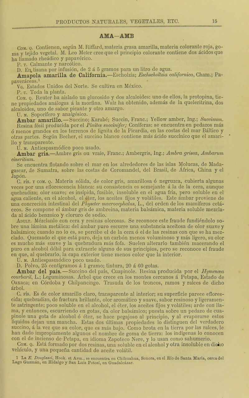 16 AMA—AMB Com. Q. Contienen, según M. Ritlard, materia grasa amarilla, materia colorante roja, go- ma y tejido vegetal. AL Leo Moler cree que el principio colorante contiene dos ácidos que ha llamado rheádico y papavérico. P. t. Calmante y narcótico. D. En, tisana por infusión, de 2 á 5 gramos para un litro de agua. Amapola amarilla de California.—Escholzia; Eschschollzia californica, Cham.; Pa- paveráceas.1 Ve Estados Unidos del Norte. Se cultiva en México. P. u. Toda la planta. Com. q. Reuter ha aislado un glucósido y dos alcaloides: uno de ellos, la protopina, tie- ne propiedades análogas á la morfina. Walz ha obtenido, además de la queleritrina, dos alcaloides, uno de sabor picante y otro amargo. U. m. Soporífero y analgésico. Ambar amarillo. — Succino; Karabé; Succin, Franc; Yellow ambcr, Ing.; Succinum. Resina fósil producida por el Pinitcs succinifer; Coniferas: se encuentra en pedazos más ó menos grandes en los terrenos de lignita de la Picardía, en las costas del mar Báltico y otras partes. Según Becher, el succino blanco contiene más ácido succínico que el amari- llo y transparente. U. m. Antiespasmódico poco usado. Ambar gris.—Ambre gris ou vraie, Franc; Ambergris, Ing.: Ambra grísea, Ambarum cincrítium. Se encuentra flotando sobre el mar en los alrededores de las islas Molucas, de Mada- gascar, de Sumatra, sobre las costas de Coromandel, del Brasil, de África, China y el Japón. C. fís. y com. q. Materia sólida, de color gris, amarillosa ó negruzca, cubierta algunas veces por una eflorescencia blanca: su consistencia es semejante á la de la cera, aunque quebradiza; olor suave; es insípida, fusible, insoluble en el agua fría, pero soluble en el agua caliente, en el alcohol, el éter, los aceites fijos y volátiles. Este ámbar proviene de una concreción intestinal del Physeler macrocephalus, L., del orden de los mamíferos cetá- ceos. Se compone el ámbar gris de ambreina, materia balsámica, materia soluble mezcla- da al ácido benzoico y cloruro de sodio. Adült. Mézclanlo con cera y resinas olorosas. Se reconoce este fraude fundiéndolo so- bre una lámina metálica: del ámbar puro escurre una substancia aceitosa de olor suave y balsámico; cuando no lo es, se percibe el de la cera ó el de las resinas con que se ha mez- clado. Quemado el que está puro, deja un carbón menos voluminoso y más ligero, su olor es mucho más suave y la quebradura más fofa. Suelen alterarlo también macerando el puro en alcohol débil para extraerle alguno de sus principios, pero se reconoce el fraude en que, al quebrarlo, la capa exterior tiene menos color que la interior. U. m. Antiespasmódico poco usado. D. Polvo, 25 centigramos á 1 gramo; tintura, 20 á G0 gotas. Ambar del país.—Succino del país, Cuapinolo. Resina producida por el Hymencea courbaril, L.; Leguminosas. Árbol que crece en los montes cercanos á Petapa, Estado de Oaxaca; en Córdoba y Chilpancingo. Trasuda de los troncos, ramos y raíces de dicho árbol. C. rfs. Es de color amarillo claro, transparente al interior; su superficie parece eflores- cida; quebradizo, de fractura brillante, olor aromático y suave, sabor resinoso y ligeramen- te astringente; poco soluble en el alcohol, el éter, los aceites fijos y volátiles; arde con lla- ma, y entonces, escurriendo en gotas, da olor balsámico; puesta sobre un pedazo de cua- pinole una gota de alcohol ó éter, se hace pegajoso al principio, y al evaporarse estos líquidos dejan una mancha. Estas dos últimas propiedades lo distinguen del verdadero succino, á la vez que su color, que es más bajo. Como brota en la tierra por las raices, le han dado impropiamente algunos el nombre de goma de tierra: los indígenas lo conocen con el de incienso de Petapa, en idioma Zapotcco Nere, y lo usan como sahumerio. Com. q. Está formado por dos resinas, una soluble en el alcohol y otra insoluble en diolio vehículo, y una pequeña cantidad de aceite volátil. 1 La E. Dougla»*i, Hook. ot Arm., «o encuentra en Chihuahua, Sonora, en el Río de Santa María, cerca del Lago üuzmán, en Hidalgo y San Luis Potosí, en Guadalcazar.