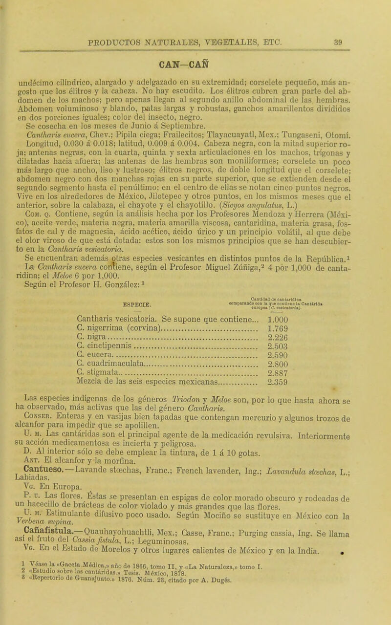 CAN—CAN undécimo cilindrico, alargado y adelgazado en su extremidad; corselete pequeño, más an- gosto que los élitros y la cabeza. No hay escudito. Los élitros cubren gran parte del ab- domen de los machos; pero apenas llegan al segundo anillo abdominal de las hembras. Abdomen voluminoso y blando, patas largas y robustas, ganchos amarillentos divididos en dos porciones iguales; color del insecto, negro. Se cosecha en los meses de Junio á Septiembre. Cantharis encera, Chev.; Pipila ciega; Frailecitos; Tlayacuayatl, Méx.; Tungaseni, Otomí. Longitud, 0.030 á 0.018: latitud, 0.009 á 0.004. Cabeza negra, con la mitad superior ro- ja; antenas negras, con la cuarta, quinta y sexta articulaciones en los machos, trígonas y dilatadas hacia afuera; las antenas de las hembras son moniliformes; corselete un poco más largo que ancho, liso y lustroso; élitros negros, de doble longitud que el corselete; abdomen negro con dos manchas rojas en su parte superior, que se extienden desde el segundo segmento hasta el penúltimo; en el centro de ellas se notan cinco puntos negros. Vive en los alrededores de México, Jilotepec y otros puntos, en los mismos meses que el anterior, sobre la calabaza, el chayóte y el chayotillo. (Sicyos angulatus, L.) Com. q. Contiene, según la análisis hecha por los Profesores Mendoza y Herrera (Méxi- co), aceite verde, materia negra, materia amarilla viscosa, cantaridina, materia grasa, fos- fatos de cal y de magnesia, ácido acético, ácido úrico y un principio volátil, al que debe el olor viroso de que está dotada: estos son los mismos principios que se han descubier- to en la Canlharis vesicatoria. Se encuentran además otras especies vesicantes en distintos puntos de la República.1 La Cantharis cucera contiene, según el Profesor Miguel Zúñiga,2 4 por 1,000 de canta- ridina; el Meloc 6 por 1,000. Según el Profesor H. González: 3 CanlMul '1 eftntarldlam ERPECTE compnrnndo con la niie oontlrna , CantirUt europeaíC. vutealoría}. Cantharis vesicatoria. Se supone que contiene... 1.000 C. nigerrima (corvina) 1.769 C. nigra 2.226 C. cinctipennis 2.503 C. eucera 2.590 C. cuadrimaculata 2.800 C. sligmata 2.887 Mezcla de las seis especies mexicanas 2.359 Las especies indígenas de los géneros Triodon y Meloe son, por lo que hasta ahora se ha observado, más activas que las del género Cantharis. Conser. Enteras y en vasijas bien tapadas que contengan mercurio y algunos trozos de alcanfor para impedir que se apolillen. U. a. Las cantáridas son el principal agente de la medicación revulsiva. Interiormente su acción medicamentosa es incierla y peligrosa. D. Al interior sólo se debe emplear la tintura, de 1 á 10 gotas. Ant. El alcanfor y la morfina. Cantueso. —Lavando stoschas, Franc; French lavender, Ing.; Lavandula stcechas, L • Labiadas. Vg. En Europa. P. c. Las flores. Estas se presentan en espigas de color morado obscuro y rodeadas de un hacecillo de bráetcas de color violado y más grandes que las flores. U. m. Estimulante difusivo poco usado. Según Mociño se sustituve en México con la Verbena supina. Cañafístula.—Quauhayohuachtli, Méx.; Casse, Franc: Purging cassia, Ing. Se llama asi el fruto del Cassia fatula,, L.; Leguminosas. Ve. En el Estado de Morelos y otros lugares calientes de México y en la India. . i Víasei la «Gaceta Médica,» año de 1866, tomo II, y «La Naturaleza,» tomo I. ¿ «Lstudio sobro las cantáridas.» Tesis. México, 1878 8 «Repertorio de Guamijuato.» 1876. Núm. 23, citado por A. Dugés.