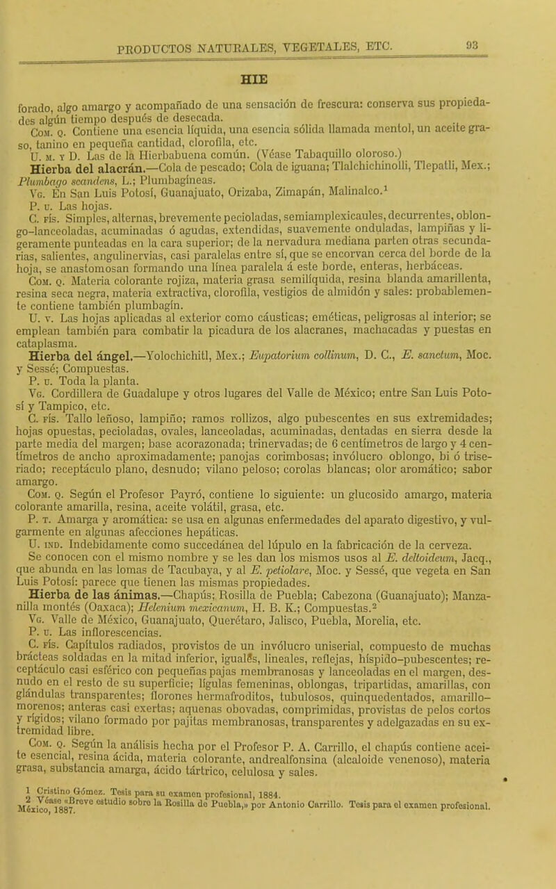 HIE forado, algo amargo y acompañado de una sensación de frescura: conserva sus propieda- des algún tiempo después de desecada. Com. q. Contiene una esencia liquida, una esencia sólida llamada mentol, un aceite gra- so, tanino en pequeña cantidad, clorofila, etc. U. m. y D. Las de la Hierbabuena común. (Véase Tabaquillo oloroso.) Hierba del alacrán.—Cola de pescado; Cola de iguana; Tlalchichinolli, Tlepalli, Méx.; Plumbago manden», L; Plunibagineas. Ve. En San Luis Potosí, Guanajuato, Orizaba, Zimapán, Malinalco.1 P. ü. Las hojas. C. fís. Simples, alternas, brevemente pecioladas, semiamplexicaules, decurrenles, oblon- go-lanceoladas, acuminadas ó agudas, extendidas, suavemente onduladas, lampinas y li- geramente punteadas en la cara superior; de la nervadura mediana parten otras secunda- rias, salientes, angulinervias, casi paralelas entre sí, que se encorvan cerca del borde de la hoja, se anastomosan formando una línea paralela á este borde, enteras, herbáceas. Cosí. q. Materia colorante rojiza, materia grasa semilíquida, resina blanda amarillenta, resina seca negra, materia extractiva, clorofila, vestigios de almidón y sales: probablemen- te contiene también plumbagín. U. v. Las hojas aplicadas al exterior como cáusticas; eméticas, peligrosas al interior; se emplean también para combatir la picadura de los alacranes, machacadas y puestas en cataplasma. Hierba del ángel.—Yolochichitl, Méx.; Eupatorium collinum, D. C, E. sanclum, Moc. y Sessé; Compuestas. P. ü. Toda la planta. Vg. Cordillera de Guadalupe y otros lugares del Valle de México; entre San Luis Poto- sí y Tampico, etc. C. fís. Tallo leñoso, lampiño; ramos rollizos, algo pubescentes en sus extremidades; hojas opuestas, pecioladas, ovales, lanceoladas, acuminadas, dentadas en sierra desde la parte media del margen; base acorazonada; trinervadas; de 6 centímetros de largo y 4 cen- tímetros de ancho aproximadamente; panojas corimbosas; involucro oblongo, bi ó trise- ríado; receptáculo plano, desnudo; vilano peloso; corolas blancas; olor aromático; sabor amargo. Com. q. Según el Profesor Payró, contiene lo siguiente: un glucósido amargo, materia colorante amarilla, resina, aceite volátil, grasa, etc. P. t. Amarga y aromática: se usa en algunas enfermedades del aparato digestivo, y vul- garmente en algunas afecciones hepáticas. U. ind. Indebidamente como succedánea del lúpulo en la fabricación de la cerveza. Se conocen con el mismo nombre y se les dan los mismos usos al E. dcUoidcum, Jacq., que abunda en las lomas de Tacubaya, y al E. petiolare, Moc. y Sessé, que vegeta en San Luis Potosí: parece que tienen las mismas propiedades. Hierba de las ánimas.—Chapús; Rosilla de Puebla; Cabezona (Guanajuato); Manza- nilla montes (Oaxaca); Hclcnium mexicanum, H. B. K.; Compuestas.2 Vg. Valle de México, Guanajuato, Querétaro, Jalisco, Puebla, Morelia, etc. P. u. Las inflorescencias. C. fís. Capítulos radiados, provistos de un invólucro uniserial, compuesto de muchas brácteas soldadas en la mitad inferior, igualfs, lineales, reflejas, híspido-pubescentes; re- ceptáculo casi esférico con pequeñas pajas membranosas y lanceoladas en el margen, des- nudo en el resto de su superficie; lígulas femeninas, oblongas, tripartidas, amarillas, con glándulas transparentes; florones hermafroditos, tubulosos, quinquedentados, amarillo- morenos; anteras casi exertas; aquenas obovadas, comprimidas, provistas de pelos cortos y rígidos; vilano formado por pajitas membranosas, transparentes y adelgazadas en su ex- tremidad libre. Com. q. Según la análisis hecha por el Profesor P. A. Carrillo, el chapús contiene acei- te esencial, resina ácida, materia colorante, andrealfonsina (alcaloide venenoso), materia grasa, substancia amarga, ácido tártrico, celulosa y sales. i Sí'3tÍn0nGl5mC/ Tesis pura su ommen profesional, 1884. M6xicoT887 r°VC 03111 *°br0 R03¡lla d° PuobIn' P°r Antonio Corrillo. Tesis para el examen profesional.